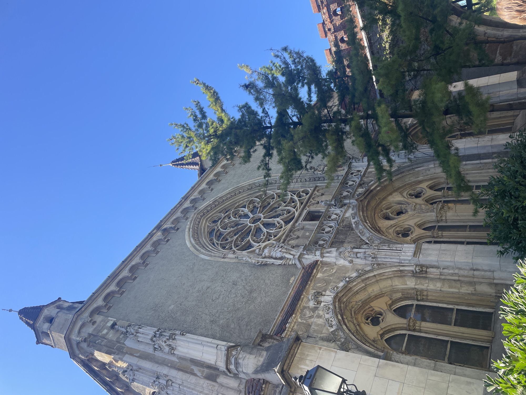 The image shows the Vajdahunyad Castle in Budapest, Hungary, on a clear, sunny day. The castle, a romantic imitation of several castles from different architectural styles, is captured from a low angle, emphasizing its gothic features. A prominent rose window is visible on the facade, along with arched windows and intricate stone carvings. A tall, slender pine tree stands in front of the castle, partially obscuring the view of some architectural elements. In the background, a section of a red brick wall with arched openings can be seen, along with a bright blue sky. Green foliage is present in the foreground. The image is a close-up shot, focusing on the detail of the castle's architecture and the interplay with the natural elements.