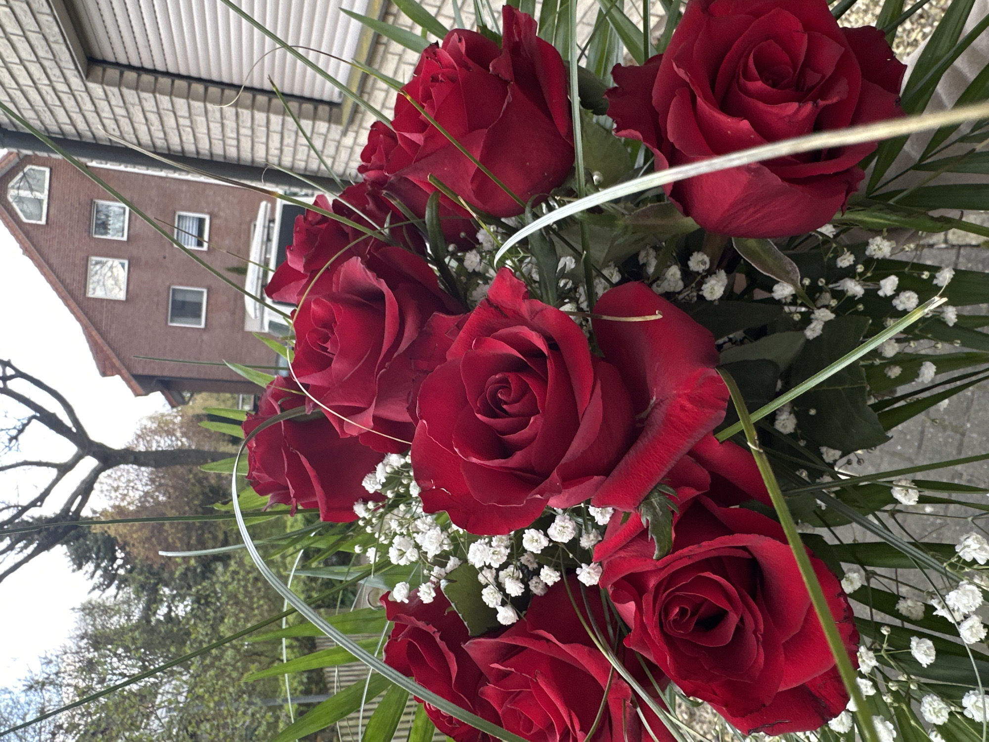 A bouquet of red roses with baby's breath and green foliage is in the foreground. The roses are the dominant subject, with their vibrant color and full blooms. The background reveals a building with a distinctive gable roof and multiple windows. Bare tree branches are visible to the left of the building, suggesting a seasonal context. The overall setting appears to be outdoors. The building architecture is consistent with the style found in Melle, Germany.