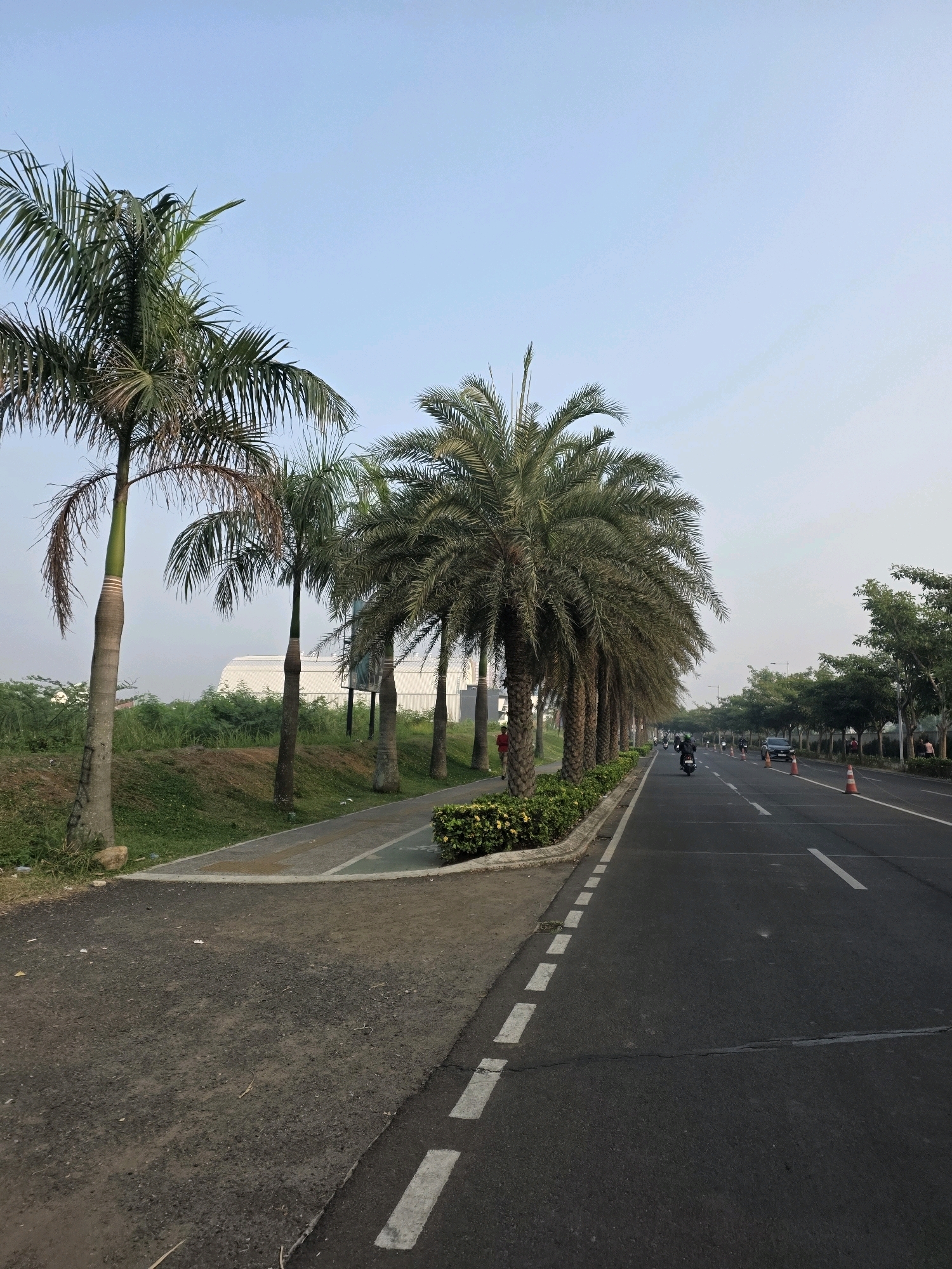 The image depicts a roadside scene in the city of Bojongsoang, Indonesia. A paved road runs from the right foreground into the distance, with a lane for vehicles and a dashed white line marking the edge of the traffic lanes. Several traffic cones are placed along the right side of the road. A few vehicles, including motorcycles and a car, are visible on the road. On the left side of the road, a paved pathway, likely for pedestrians or cyclists, runs parallel to the road. This pathway is bordered by a row of well-maintained bushes and a line of palm trees. Beyond the pathway and bushes, there is a grassy embankment with more vegetation and some buildings in the background. The sky is clear and light blue, suggesting it is daytime, likely morning or late afternoon. The overall impression is one of a well-developed urban or suburban area with infrastructure for transportation and recreation.
