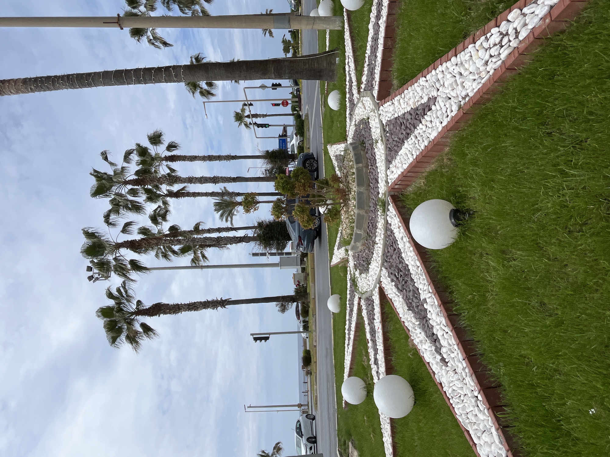 The image captures a scene in Alanya, Turkey, with a vibrant roadside display set against the backdrop of palm trees and a cloudy sky. The foreground features a meticulously arranged star-shaped design, crafted from white and gray pebbles bordered by red bricks and lush green grass. Spherical white lamps are interspersed along the star's points. In the background, palm trees line a road with passing cars, traffic lights, and street signs. The distant horizon shows a glimpse of the sea, contributing to the coastal urban setting.