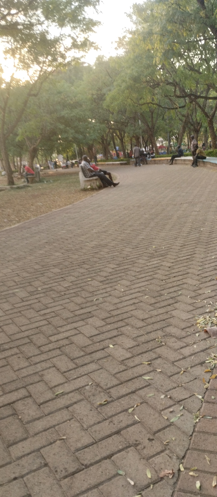 Memory