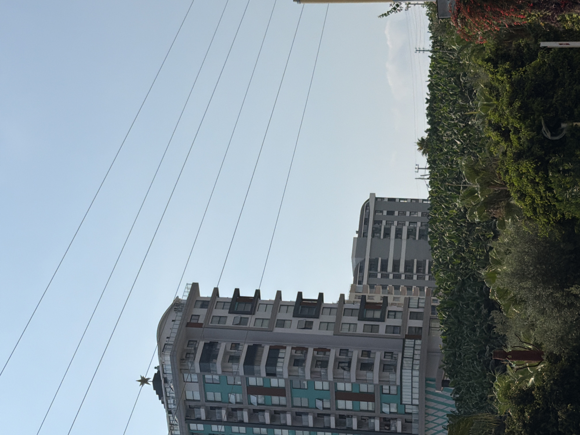 A tall, modern apartment building with a star-shaped ornament on its roof stands against a clear blue sky. The building features a mix of grey, white, and teal colored panels and balconies. To the right of this building is another, shorter apartment building with grey and white horizontal stripes. Below the buildings, a dense field of green foliage, likely banana trees, stretches across the landscape. In the foreground, lush green trees and bushes are visible, with a red-colored sculpture partially obscured by the vegetation. Power lines are strung across the sky, and utility poles are present in the background. The overall scene appears to be a sunny day in a developed area with significant agricultural presence. This view is consistent with the landscape found in Alanya, Turkey, an area known for its coastal development and surrounding agricultural lands, including banana plantations.