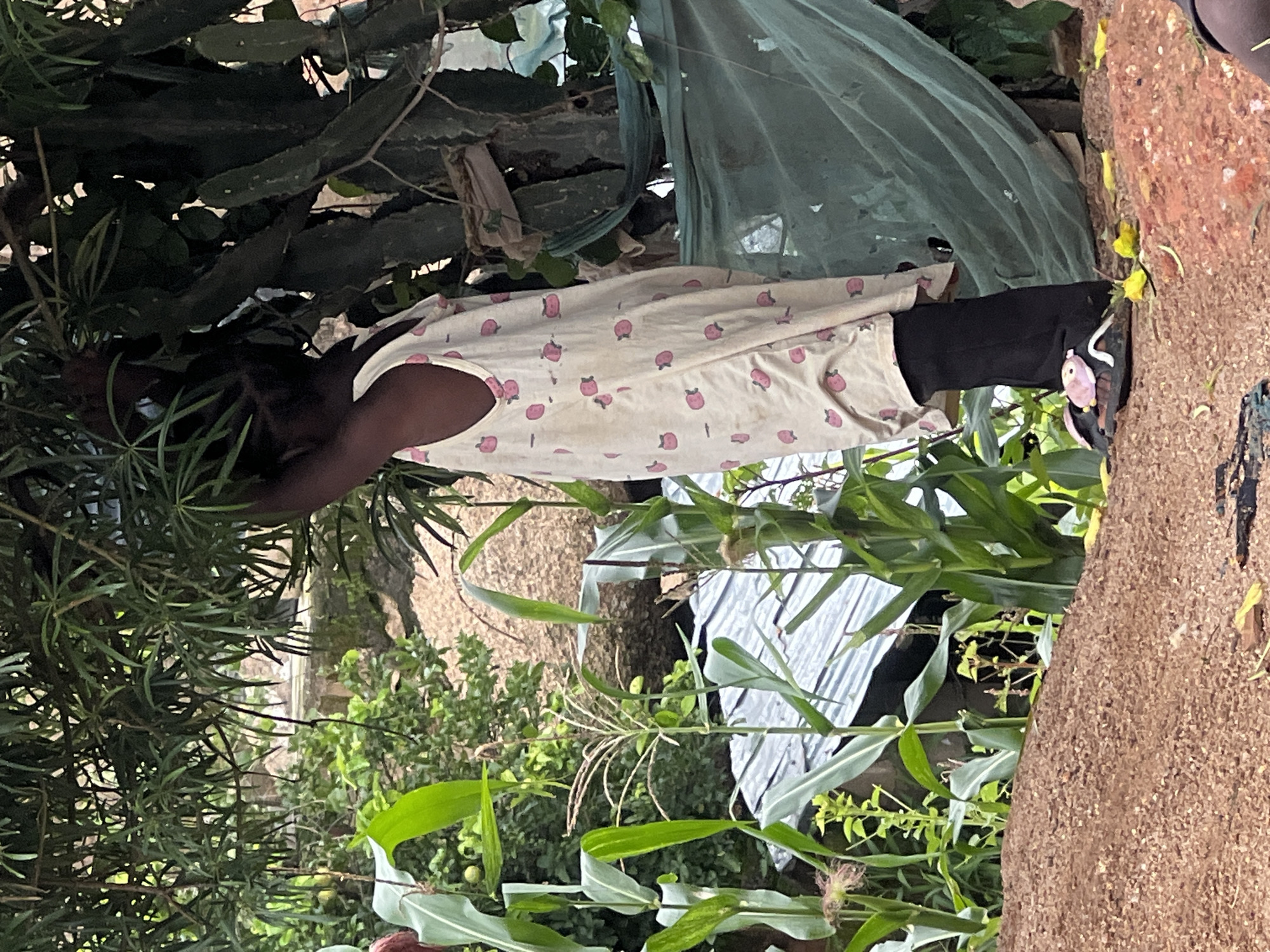 A young person, seen from the side, stands partially obscured by foliage, reaching upwards. They are wearing a light-colored sleeveless dress with a repeating pattern of pink fruit and black leggings. Their feet are clad in dark sandals with a pink decorative element. The environment appears to be an outdoor, semi-rural setting, possibly in Jos, Nigeria. Lush green vegetation, including corn stalks and leafy trees, dominates the background. A corrugated metal roof is visible amongst the plants, suggesting the presence of structures. A light green netting is draped over some of the vegetation to the right of the person. The ground is covered with reddish-brown soil and scattered yellow leaves.
