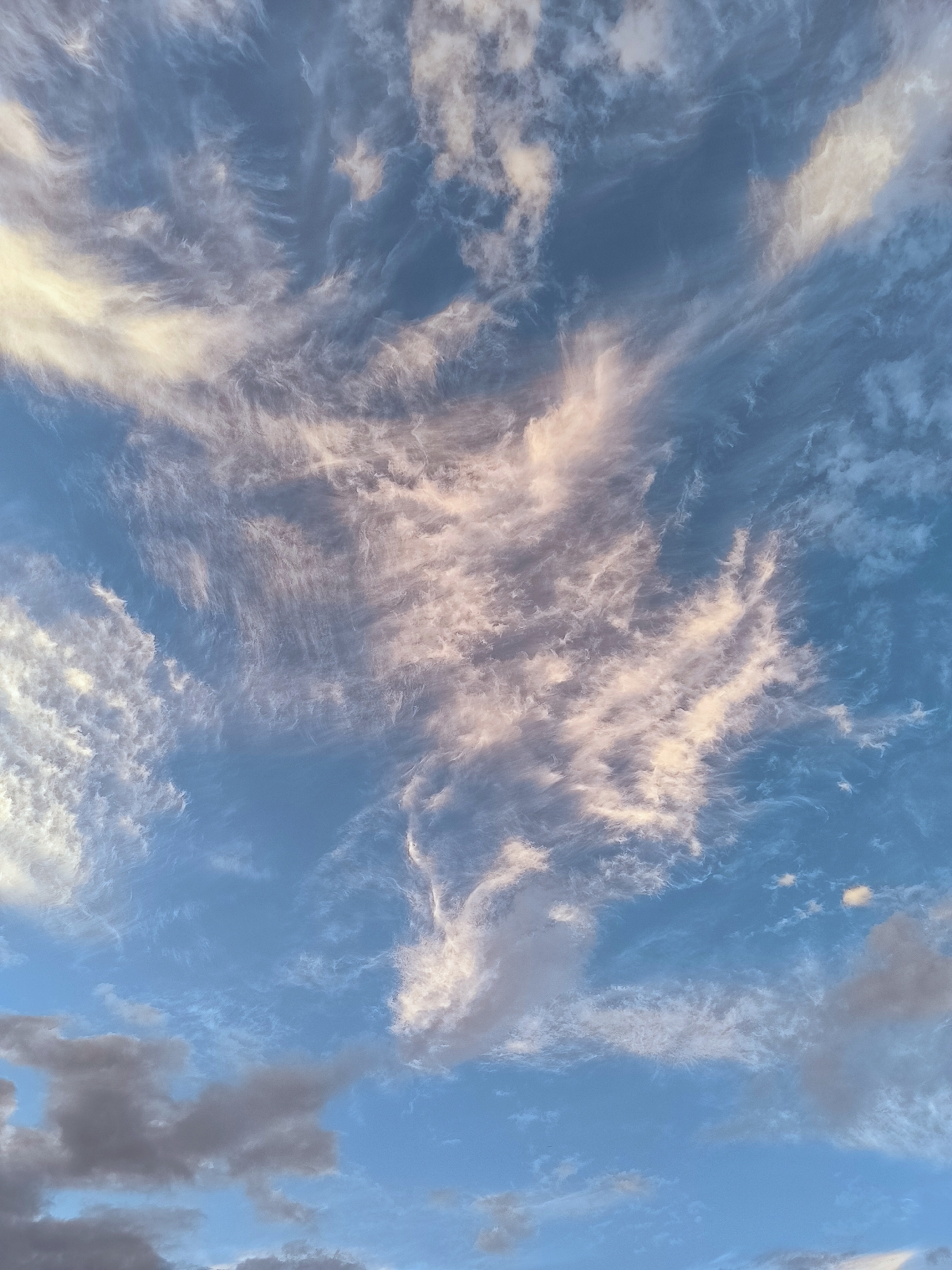 This is a low-angle, full-frame, vertical shot of a pale blue sky filled with wispy, cirrus clouds that are tinged with pink and gold, suggesting either sunrise or sunset. The clouds are spread throughout the frame, with denser, darker gray clouds visible near the bottom corners. There are no people, buildings, or specific landmarks identifiable within the image, indicating it's a natural scene focused solely on the sky. The environment is outdoor, with the sky dominating the entire composition.
