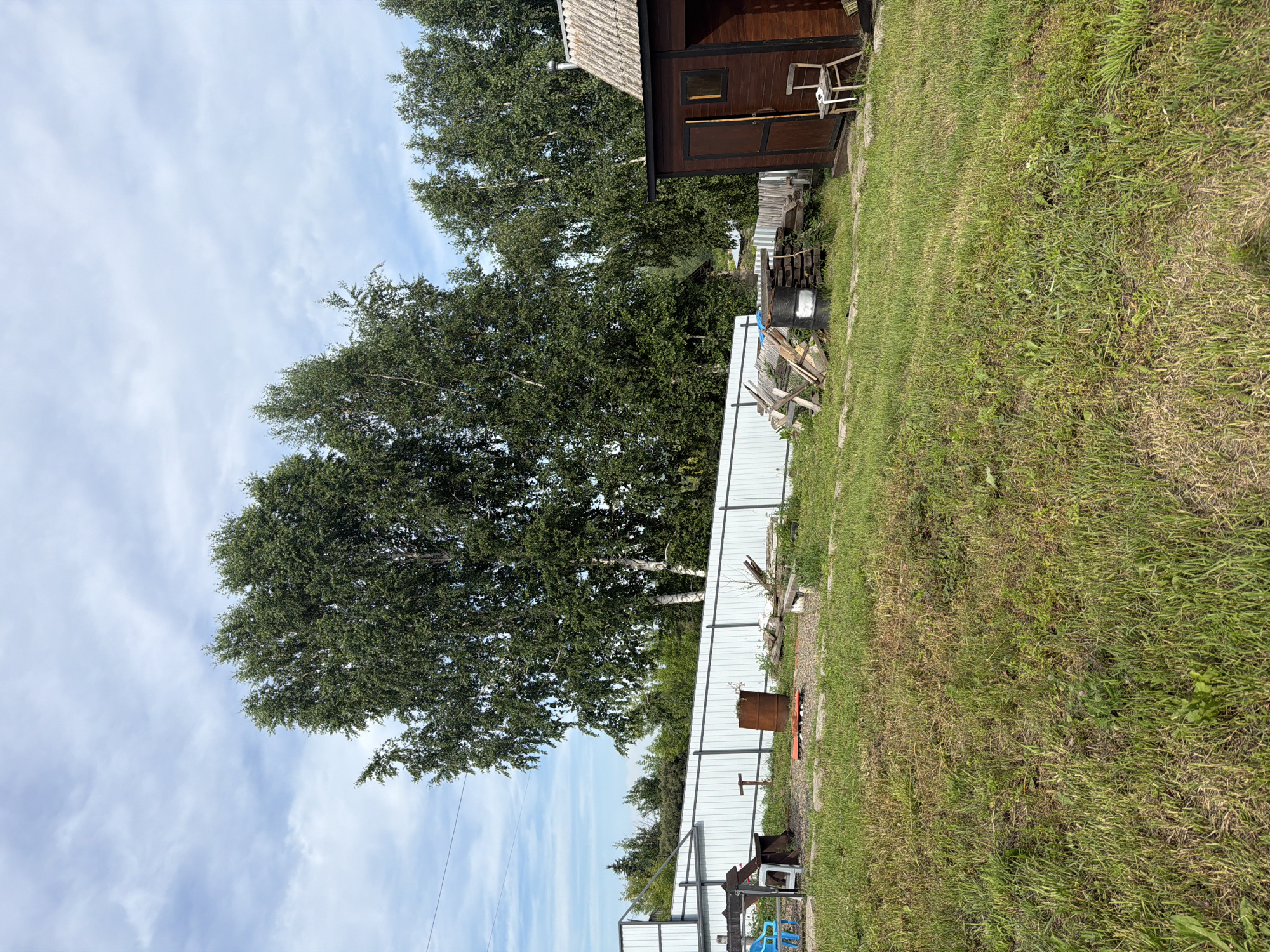 The image depicts a rural backyard scene in the city of Кузнецово, Russia, under a partly cloudy sky. In the foreground, a grassy lawn shows areas of dry and green grass. The middle ground is characterized by a gravel area with various objects, including a rusty barrel, a wooden bench, and a pile of lumber. A white metal fence runs horizontally across the scene, separating the yard from the background. Behind the fence, several tall birch trees dominate the landscape, their green foliage contrasting with the sky. To the right of the image, a small wooden outbuilding with a brown door and a window is visible. A simple wooden chair sits beside the outbuilding. The overall impression is one of a rustic, somewhat unkempt outdoor space. There are no people visible in the image.