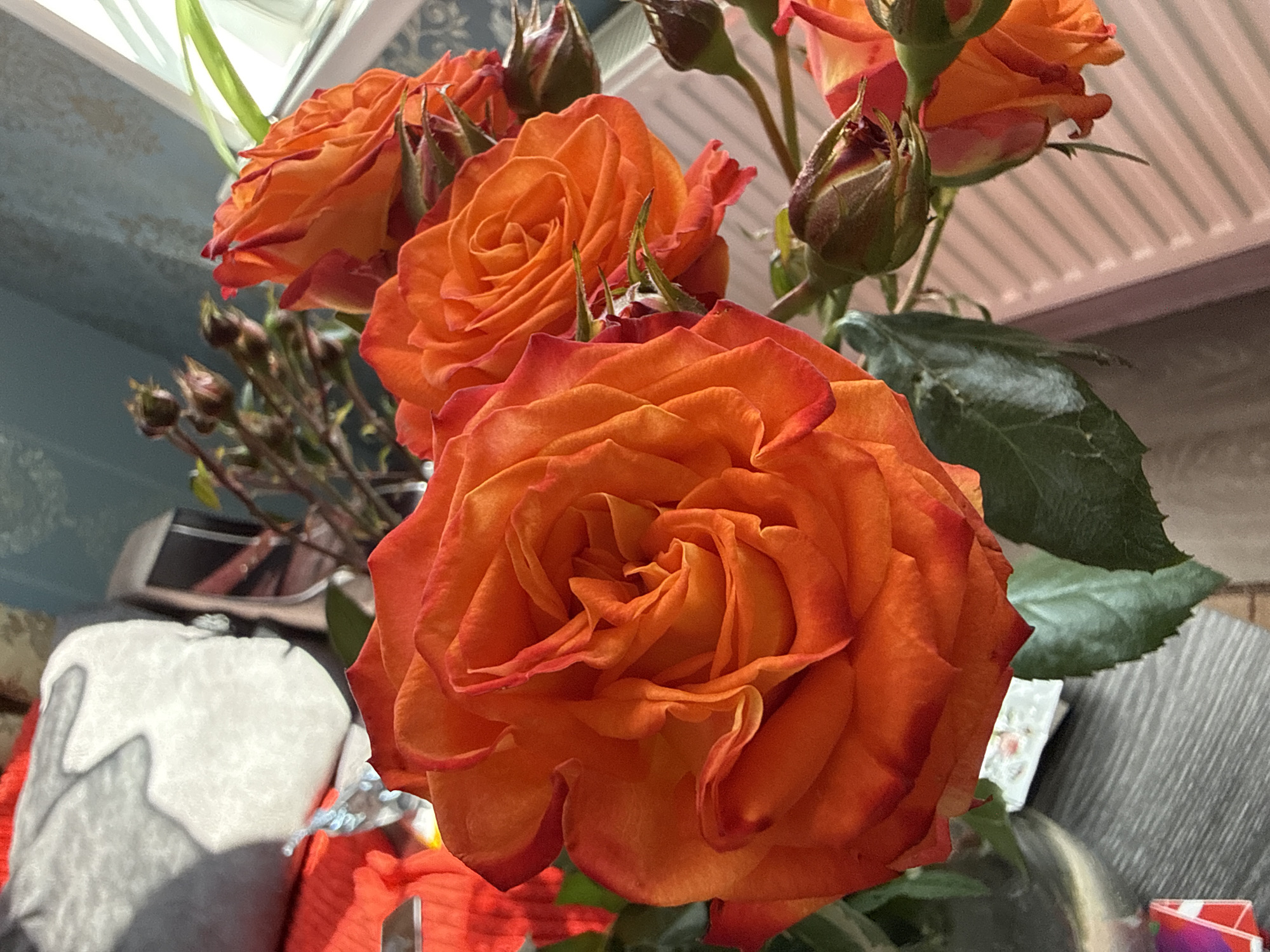 The image captures a close-up vertical view of a bouquet of orange roses on a dark gray, wood-grain patterned table in a domestic setting in Ляльшур, Russia. The central subject is a large, fully bloomed orange rose with tightly packed petals showing gradients of orange to red-orange. Surrounding it are additional roses in various stages of bloom, including several unopened buds, displaying similar vibrant orange and red-orange hues. Green leaves and stems are interspersed throughout the bouquet.
In the upper-left background, a light gray, textured object, possibly a cushion, is visible with prominent shadows. Below this, a section of red, pleated fabric is present. The upper-right background features a light blue-grey wall with a subtle patterned wallpaper. A white window frame is discernible on the far right, admitting natural light. A light pink or beige radiator with horizontal slats is visible in the lower-right background. On the table in the bottom-left corner, a small, partially visible, multi-colored object rests next to a small white object with a floral pattern. No persons are depicted in the scene.