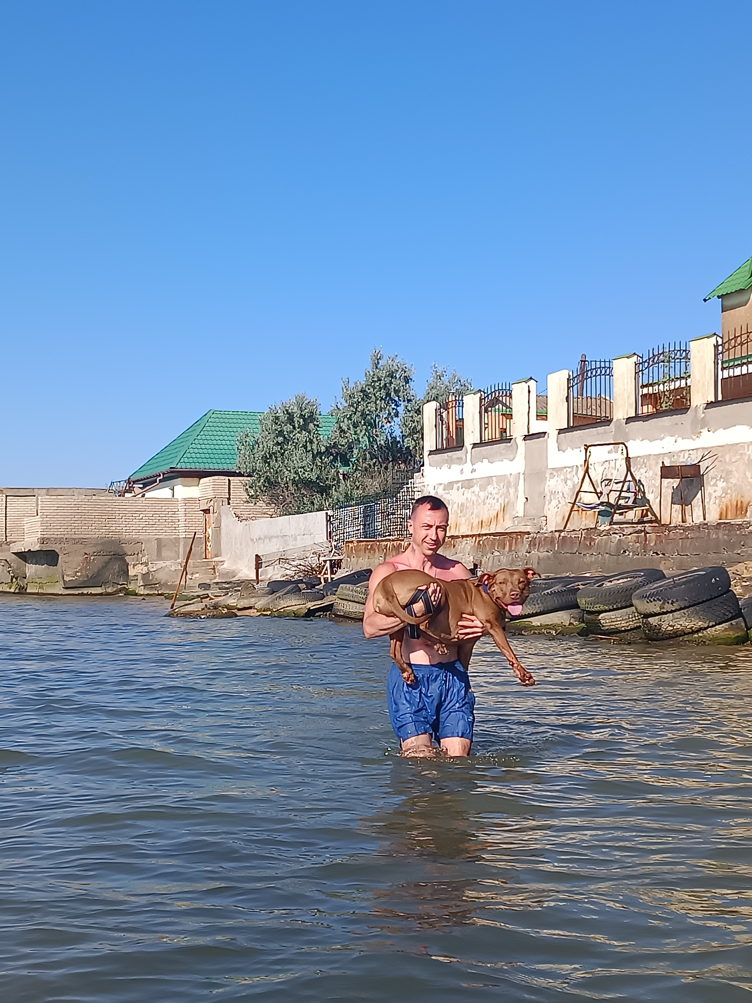 A shirtless man with dark hair and blue swim trunks stands in the shallow water of the Black Sea, holding a brown dog. The man is looking at the camera with a slight smile. The dog is held in his arms, with its mouth open and tongue out, appearing happy. Behind them, on the shore, are several stacked tires and a low wall. Further back, there is a building with a green roof and a white facade, and a metal fence. The sky is clear and blue. This scene is located on the shore of Zatoka, Ukraine.