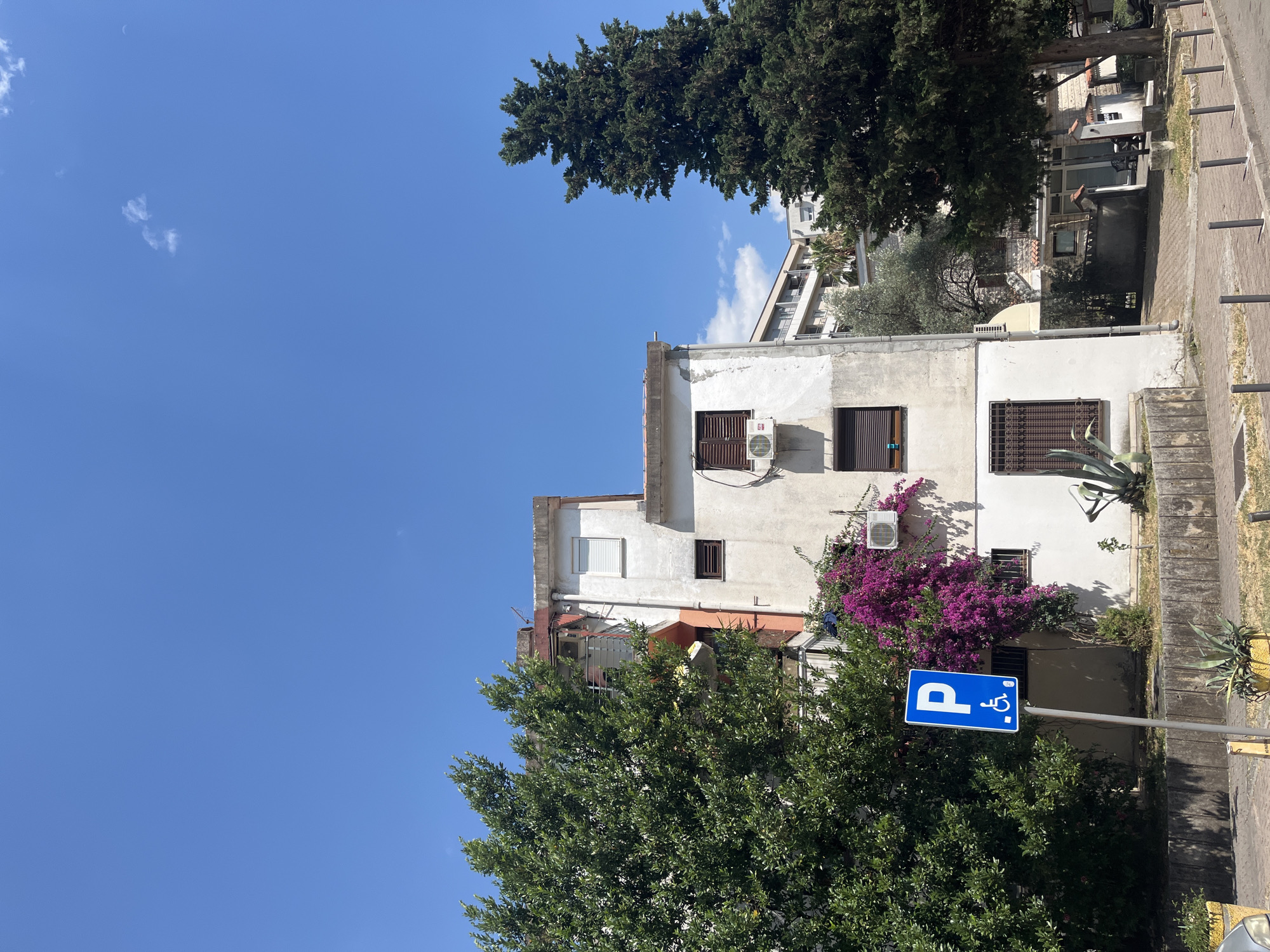A blue parking sign with a white "P" and a wheelchair symbol is mounted on a metal pole in front of a building. The building is white with brown shutters and an air conditioning unit. Purple bougainvillea flowers are growing on the side of the building. A large green tree is in the foreground, and a clear blue sky is in the background. The image appears to be taken during the daytime on a sunny day. The presence of the parking sign indicates that this is a public area, likely a street or parking lot. The location context indicates the scene is in Budva, Montenegro.