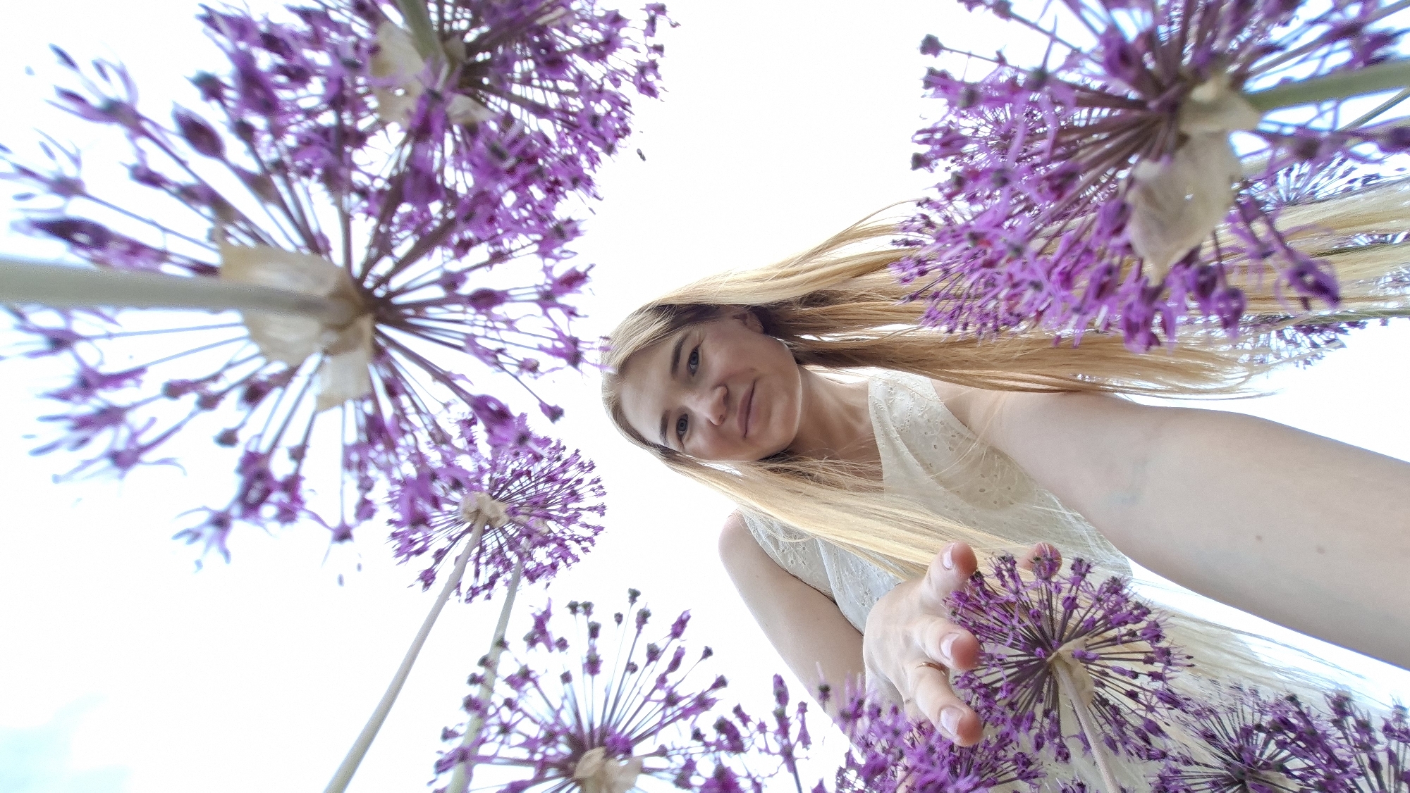 A low-angle view photograph shows a woman with long, blonde hair, light skin, and wearing a white dress, looking down at the camera. She is surrounded by purple allium flowers. Her right hand reaches out towards one of the flowers. The background is a bright sky. The location is in a field of purple allium flowers, most likely in the city of Большой Букор, Russia.