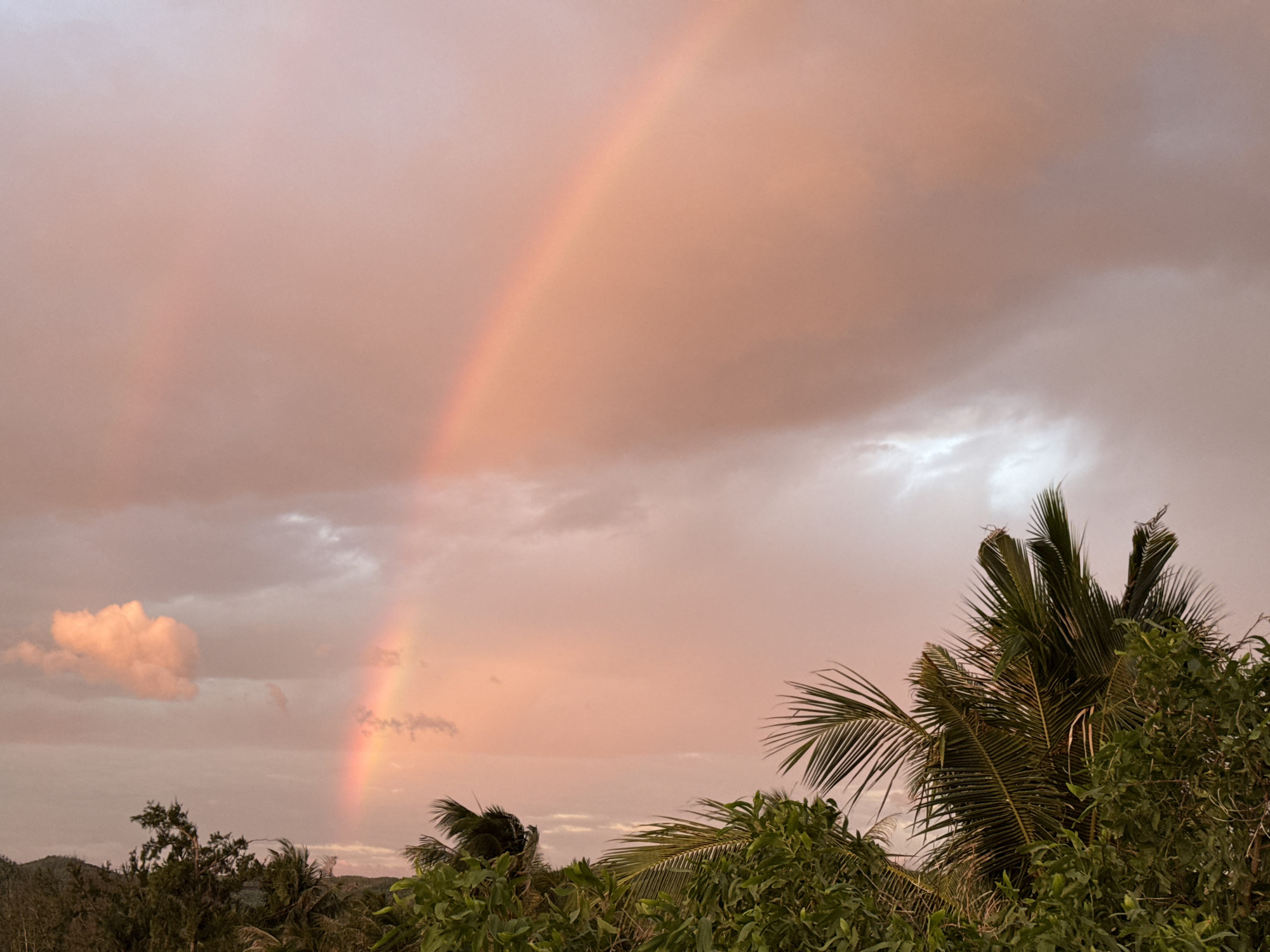 The image shows a double rainbow arching across a sky filled with soft pink and orange clouds. The sun appears to be setting or has recently set, casting a warm glow over the scene. In the foreground, lush green foliage and palm trees obscure the lower portion of the image. To the left, a hint of a hilly landscape can be seen. The overall impression is a serene and colorful natural landscape. The location is identified as Song Cau City, Vietnam.