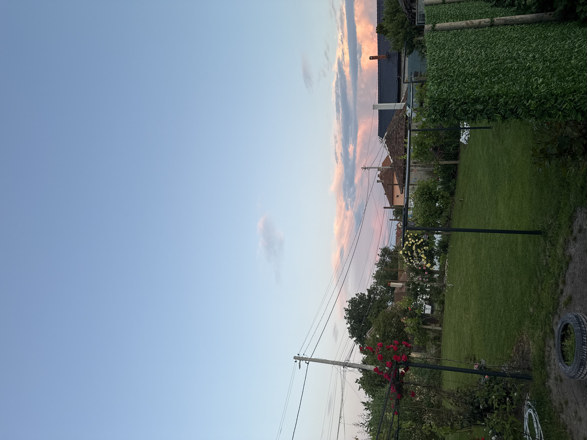 This image captures a tranquil rural backyard or garden scene at what appears to be late afternoon or early evening, characterized by the soft light and pastel hues in the sky, consistent with a setting in Glodjevo, Bulgaria.
The dominant feature is the expansive sky, transitioning from a clear, light blue in the upper left to warmer tones near the horizon. Scattered clouds are present, with some elongated formations displaying prominent pink and orange tints, suggesting either sunrise or sunset.
In the mid-ground, several houses with traditional tiled roofs and chimneys are visible, nestled among dense green foliage. One house has a dark gray tiled roof and a white chimney, while another features an older, reddish-brown tiled roof. A prominent, tall green hedge or artificial fence runs along the back of the garden, separating properties.
The garden itself features a well-maintained, lush green lawn. Various trees and bushes are scattered throughout, including vibrant red roses in the foreground and yellow roses trailing over a structure further back. Two dark, vertical poles stand in the garden, possibly part of a clothesline or supporting a climbing plant structure. In the foreground on the right, an old tire rests on the dirt path. A utility pole with several electrical wires is also visible on the left side, extending into the sky.
No people are visible, and no specific activity is taking place, contributing to the peaceful and still atmosphere of the scene. There is no visible text in the image.