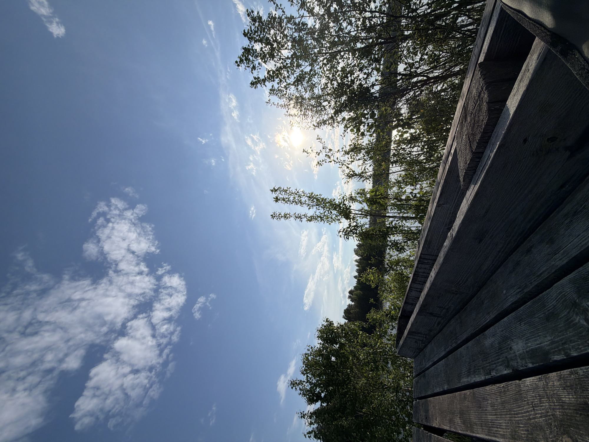 The image depicts a view towards the sky from what appears to be a wooden structure. The sky is predominantly blue with scattered white clouds. The sun is visible, shining through a canopy of trees. Part of the wooden structure is in the right portion of the frame, showing horizontal planks with visible wood grain. Some trees are visible in the background. The image is oriented with the wooden structure on the right and the sky and clouds on the left. The location is in Selychka, Russia.