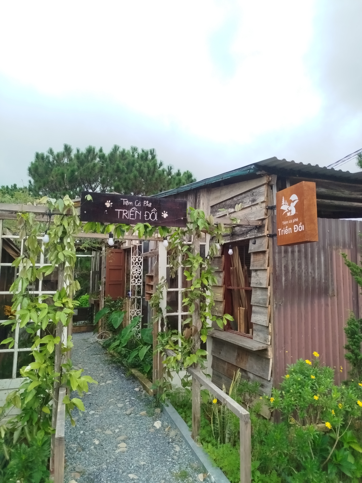 The image captures a rustic and charming cafe entrance in Da Lat, Vietnam, identified by signage. A gravel path leads through a leafy archway into the establishment. The cafe building appears to be constructed from weathered wood and corrugated metal, exuding a vintage, natural aesthetic. A prominent wooden sign above the entrance reads "Tiệm Cà Phê TRIỂN ĐỒI" with paw prints, indicating it is a coffee shop named Triển Đồi. Another square, tan sign hangs from the building, featuring a stylized mountain and tree silhouette with the same cafe name. Lush green foliage and vibrant yellow flowers surround the entrance, further enhancing the natural and inviting atmosphere. The sky is overcast, suggesting a diffused light condition. There are no people visible in the scene.