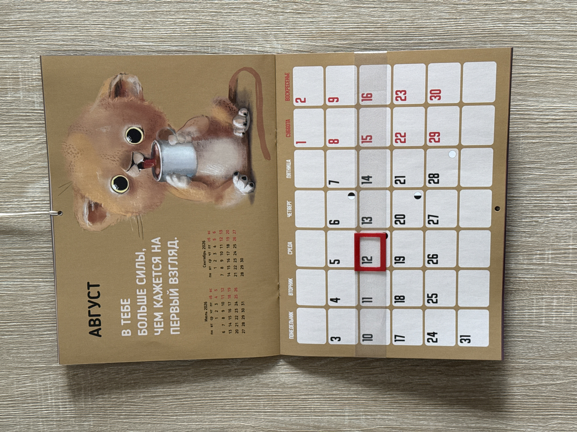 The image shows a calendar page for August, featuring a cartoon illustration of a lion cub drinking from a mug. The calendar grid for August 2026 is displayed below the illustration, with days of the week labeled in Russian. The text above the illustration reads "АВГУСТ" (August) and "В ТЕБЕ БОЛЬШЕ СИЛЫ, ЧЕМ КАЖЕТСЯ НА ПЕРВЫЙ ВЗГЛЯД." (You have more strength than it seems at first glance). The calendar page is attached to a larger wall calendar by a metal spiral binder at the top. The calendar is hung on a wall with a textured, light brown wooden surface. There are no people visible in the image. The lighting suggests an indoor environment with natural light. The image does not contain any information about the location being Lyubertsy, Russia.