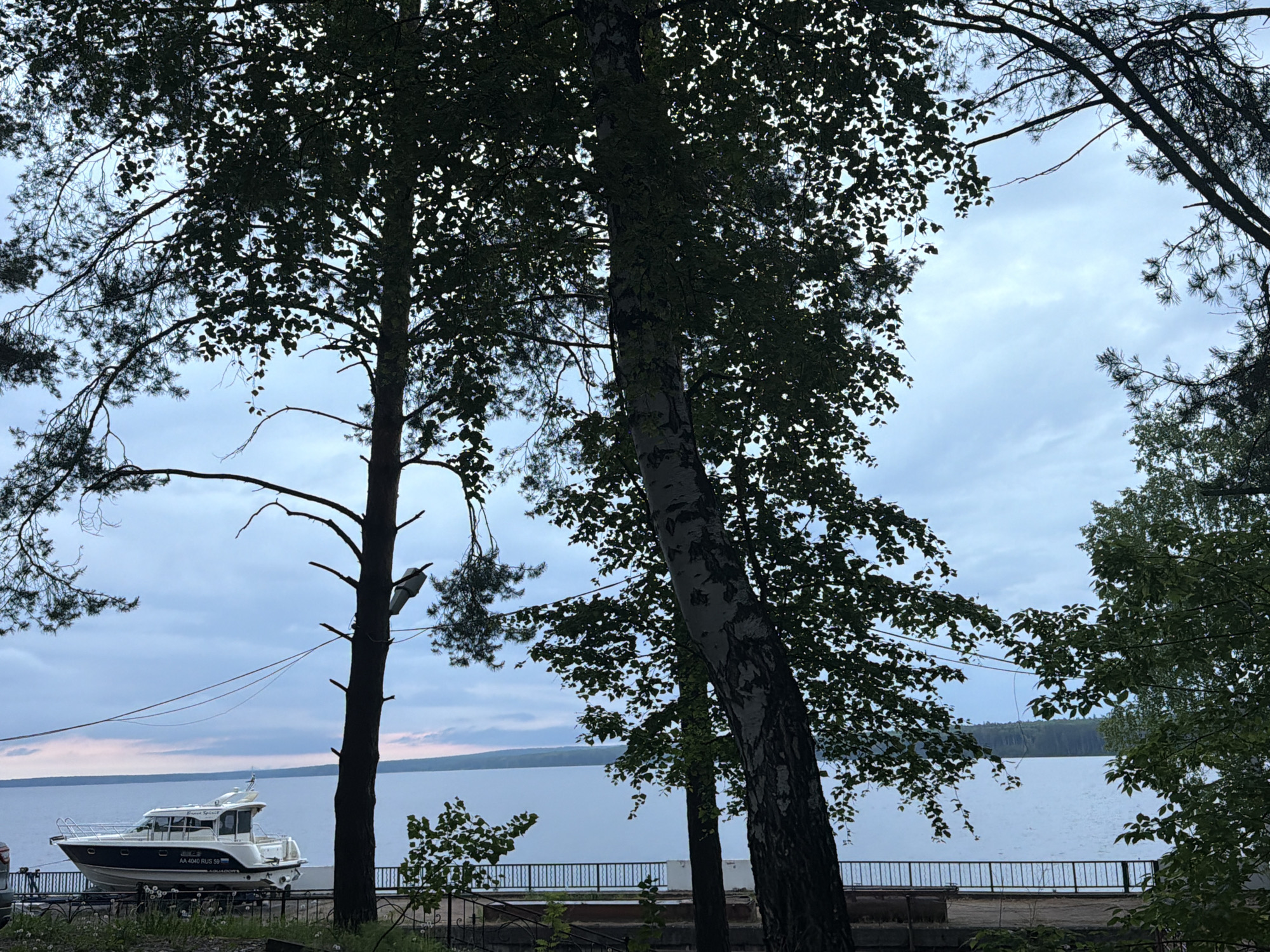 The image presents a view of the Kama Reservoir in the city of Chaikovsky, Russia. A white motor yacht is parked on a trailer near the water's edge. A black metal fence runs along the shoreline. The foreground is dominated by silhouetted trees, including a birch with distinctive bark. The sky is overcast. In the distance, the opposite bank of the reservoir is visible.