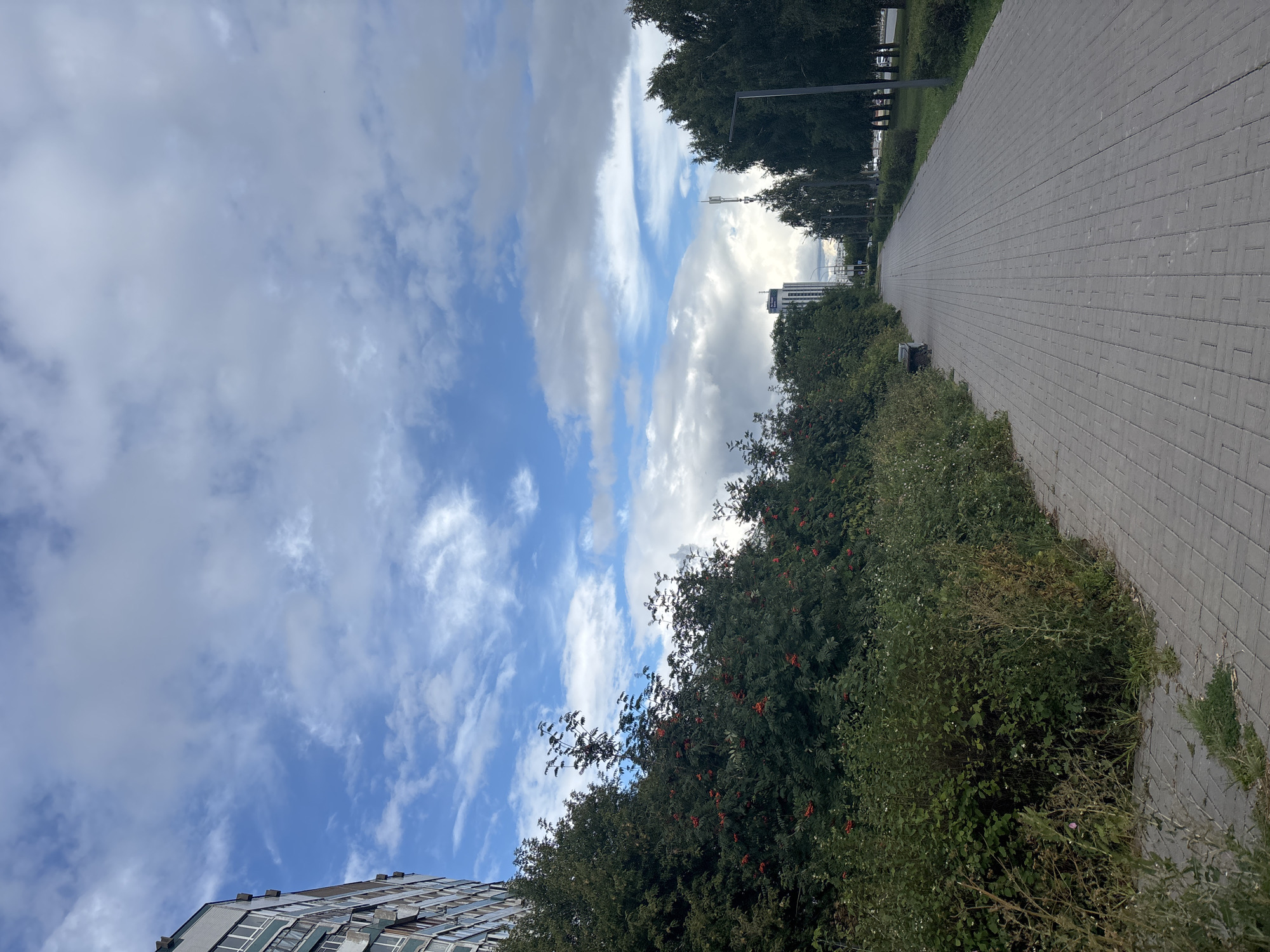 A paved pedestrian path runs through a city park area in Naberezhnye Chelny, Russia, under a partly cloudy sky. On the left, a large apartment building is partially visible, its facade featuring multiple windows. Adjacent to the building, a dense line of trees and shrubs, some bearing red berries, creates a green border. The path itself is paved with grey rectangular bricks and extends into the distance, lined on the right by more trees and a street with parked cars. A street lamp stands among the trees. In the background, tall buildings and a cellular tower are visible. A single park bench is situated near the bushes on the left side of the path. The overall scene depicts an urban park setting with a mix of residential architecture, natural elements, and infrastructure.