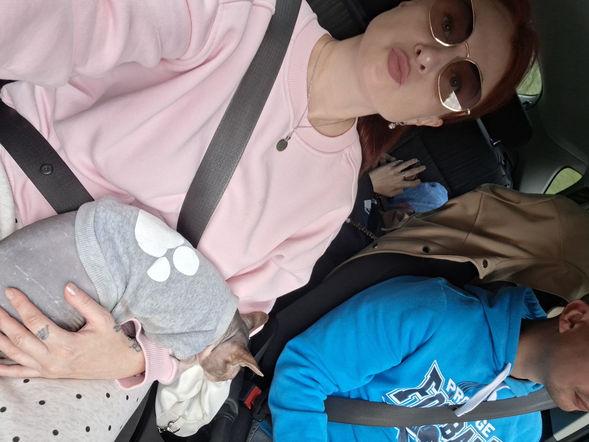 In the city of Domzharitsy rural council, Belarus, two people and a Sphynx cat are inside a car. A woman with auburn hair and sunglasses is in the foreground, wearing a pink sweatshirt and a silver necklace. She is holding the cat, which is wearing a grey sweater with white paw prints. A man in a blue hoodie is seated next to her. The car's interior is visible, including seatbelts and a tan jacket draped over a seat.