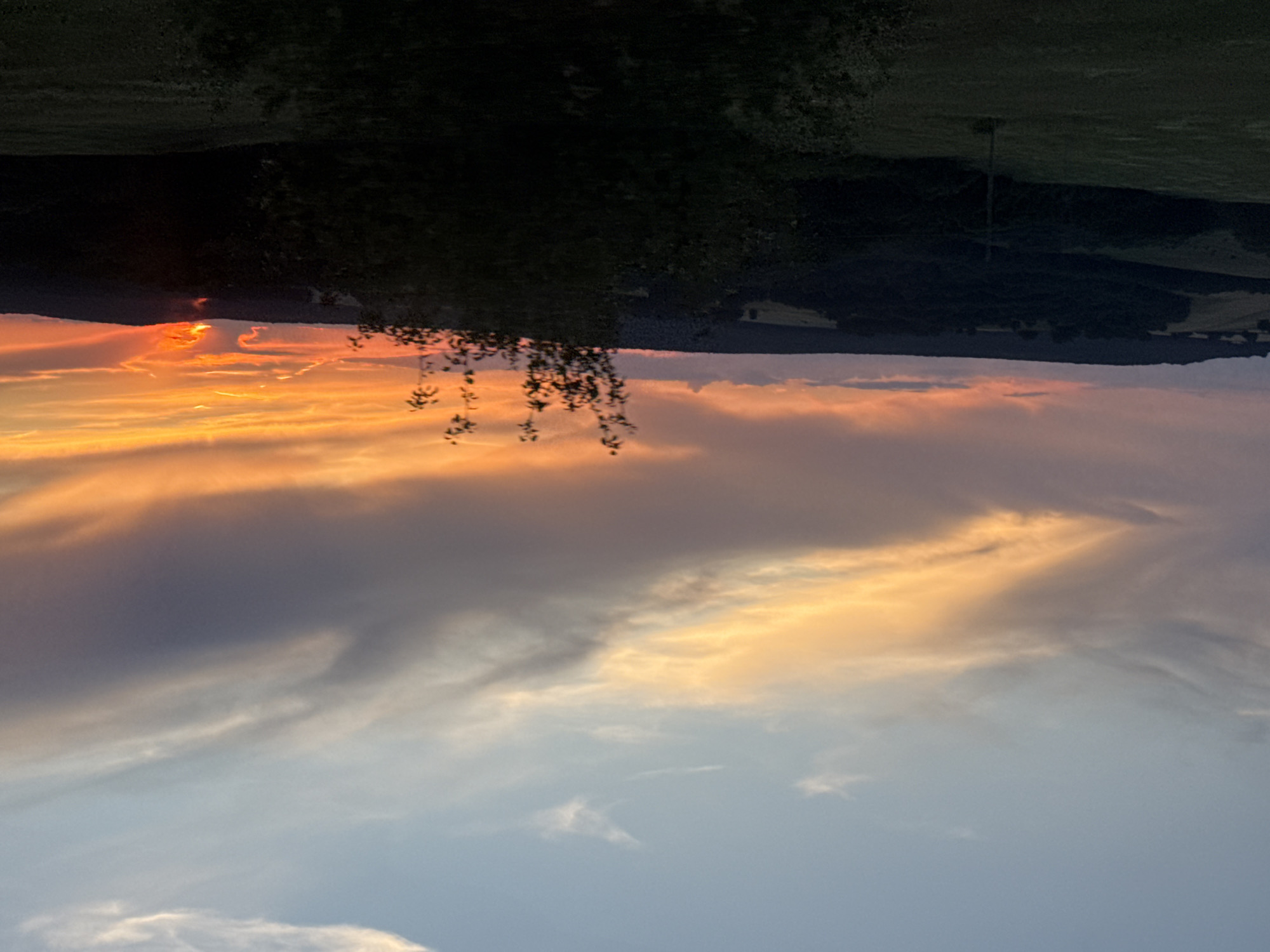 The image depicts a rural landscape at sunset, likely in or around Krushevets, Bulgaria. The sky is ablaze with vibrant colors, transitioning from a soft blue at the top to fiery oranges, yellows, and purples near the horizon, indicating the sun is setting behind the hills. Wispy clouds are scattered across the sky, catching the sunset's light and adding texture and depth.
The foreground is dominated by dark, silhouetted trees and rolling hills covered in dark foliage. A few patches of lighter green fields are visible, suggesting agricultural land. A single utility pole stands prominently in the middle ground, its dark form contrasting with the lighter fields. The overall impression is one of serene natural beauty, with the dramatic sky providing a stunning backdrop to the darkened landscape. There are no people or animals visible in the image. The atmosphere is tranquil and quiet.