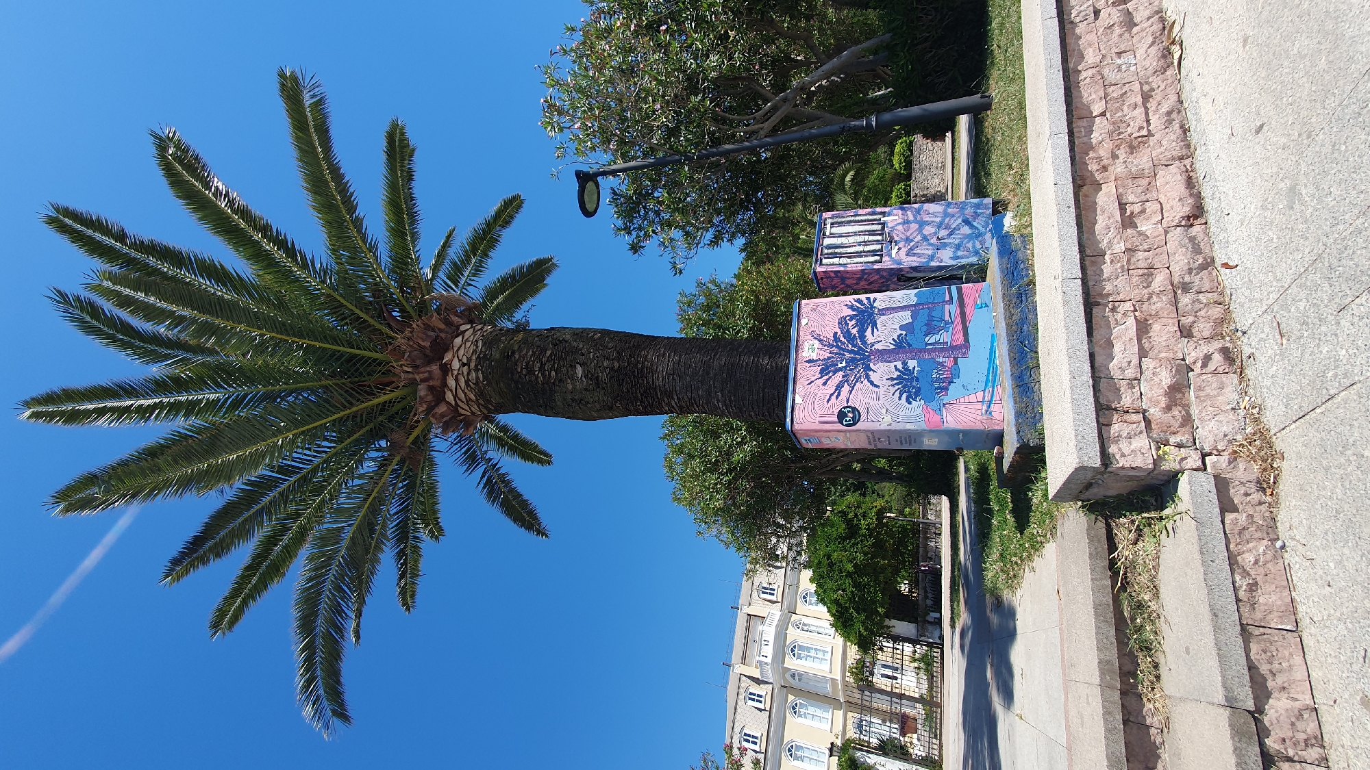 A low-angle shot shows a palm tree with green fronds against a clear blue sky, located in the city of Bar, Montenegro. Two decorated utility boxes are positioned next to the palm tree. The boxes feature pink and blue tropical-themed artwork. A streetlight is visible behind the boxes. A building with white arched windows and a red-tiled roof is situated in the background. A stone retaining wall and a paved walkway are in the foreground.
