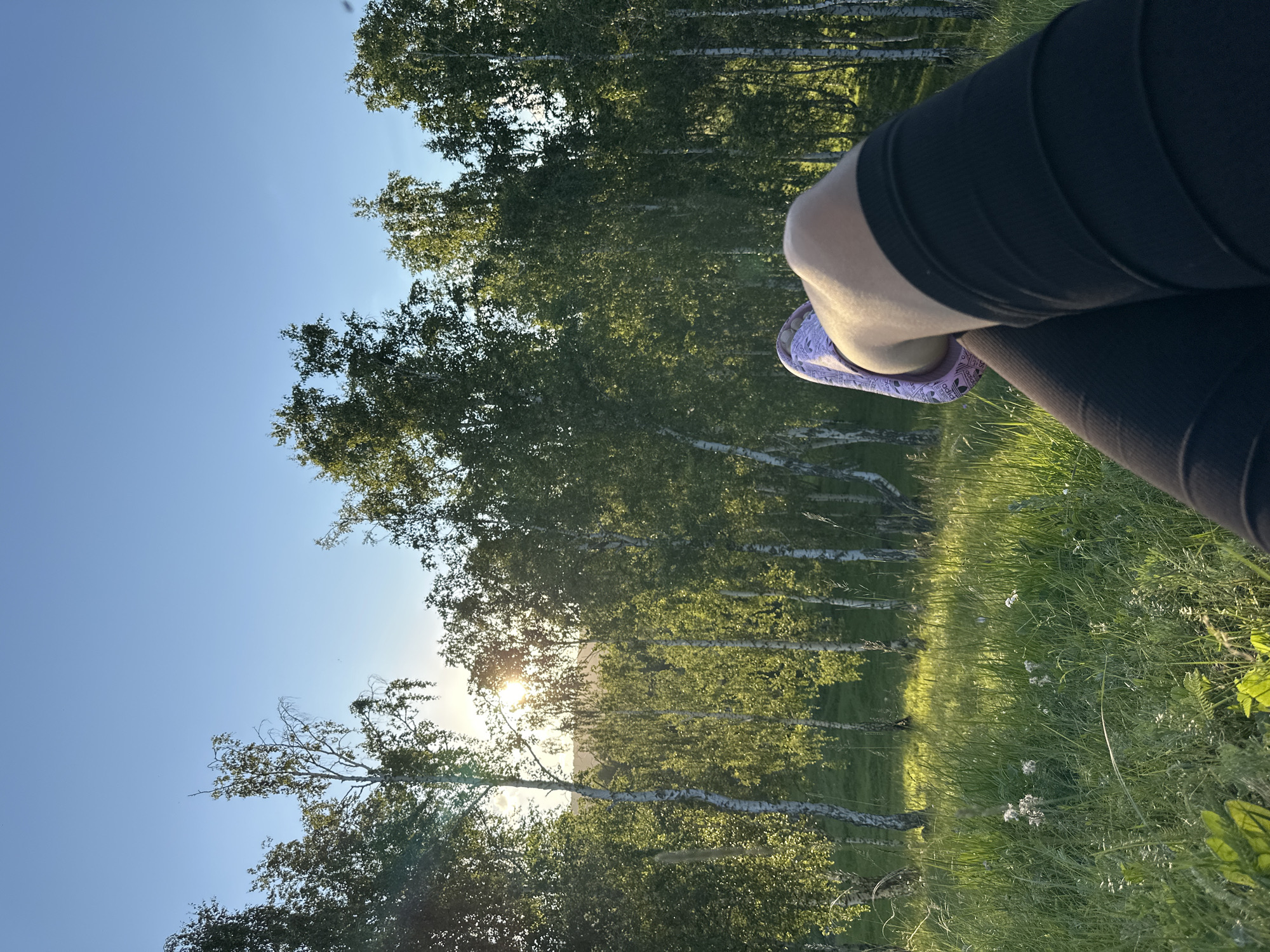 The image shows a close-up of a person's legs and feet, wearing black leggings and a purple slide. The person is sitting in a grassy field with a line of birch trees behind them. The sun is setting, casting a warm glow on the scene and creating a lens flare through the trees. The sky is clear and blue. The overall mood is peaceful and relaxing, suggesting a moment of quiet enjoyment of nature. The image is taken from a low angle, emphasizing the legs and feet in the foreground, with the natural landscape stretching out behind. The specific location is unknown, but the presence of birch trees and the grassy field suggests a temperate climate. The time of day is clearly late afternoon or early evening due to the low angle of the sun and the warm light. The text "adidas" is visible on the purple slide.