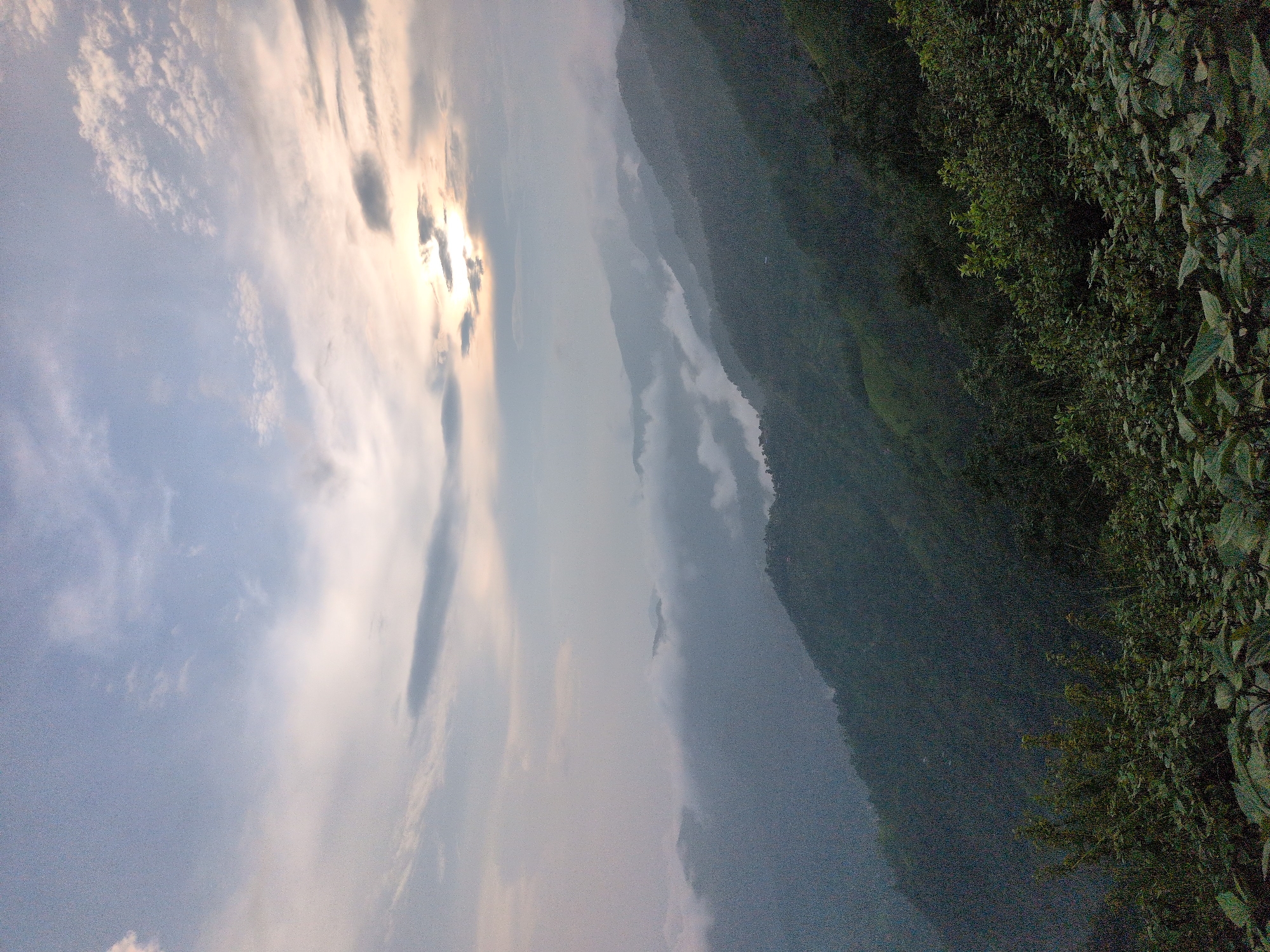 The image depicts a mountainous landscape with lush green slopes, partially obscured by mist and low-lying clouds. The sky is overcast with patches of sunlight breaking through, casting a soft glow on the scene. In the foreground, dense vegetation and foliage are visible. The background shows layered mountain ranges receding into the distance, creating a sense of depth. The overall impression is one of a serene and natural environment, possibly a view from a higher elevation overlooking valleys. The location is identified as Kapurkot, Nepal.