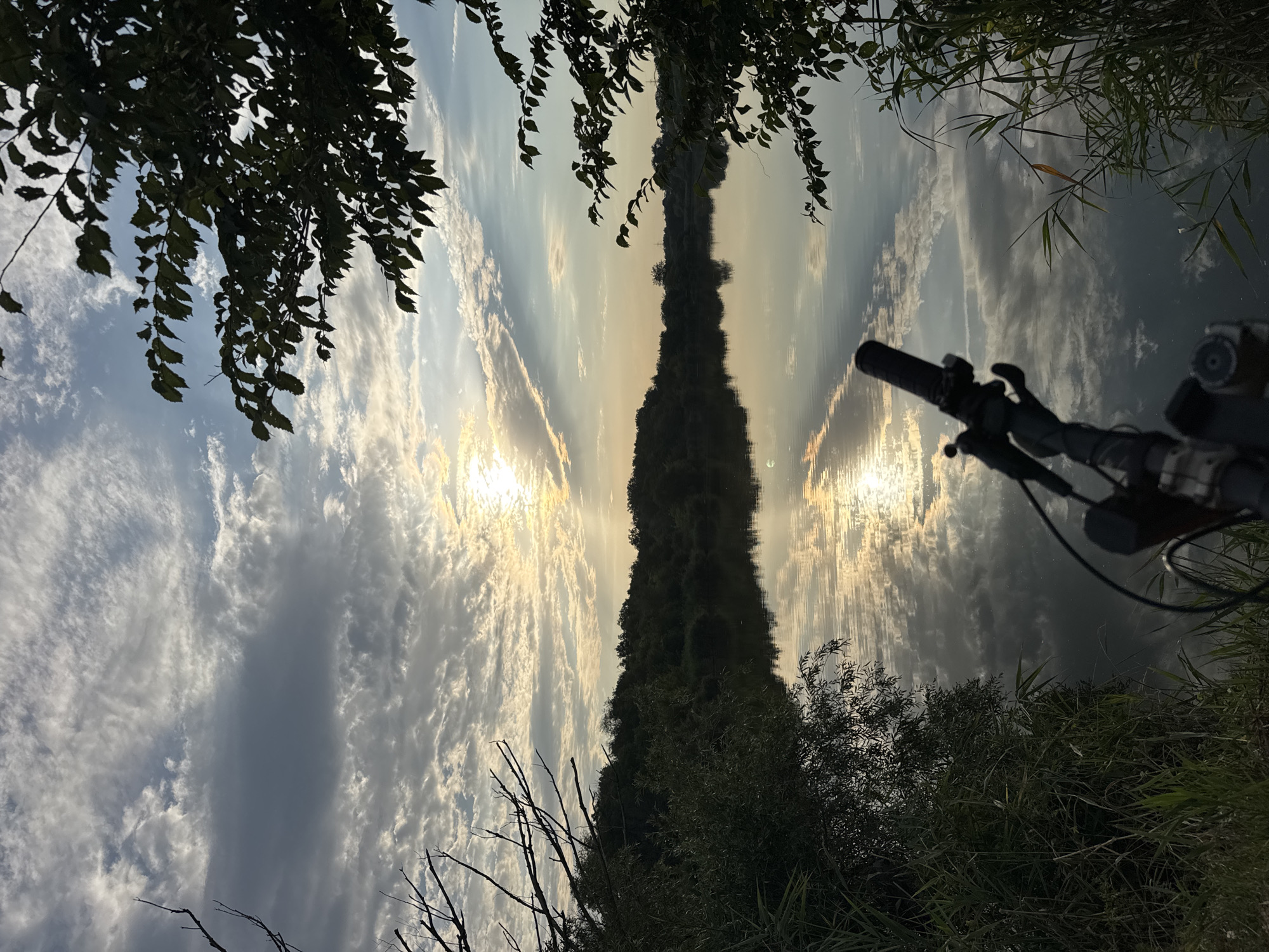 This is a photograph taken from the perspective of a bicycle rider at the edge of a calm body of water, possibly a river or lake, in Kamyshevakha, Russia. The sun is low in the sky, casting a warm glow and creating a reflection on the water's surface. The sky is filled with dramatic clouds, with some areas illuminated by the sun and others in shadow. Lush green vegetation lines the banks of the water, with trees and reeds visible. The handlebars and part of the frame of the bicycle are in the foreground, indicating the photographer's viewpoint. The overall scene is serene and picturesque, likely captured during sunrise or sunset.