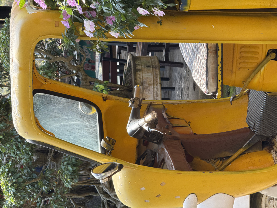 An outdoor scene in Da Lat, Vietnam, depicts the left front and interior of a stationary, weathered yellow three-wheeled vehicle, likely a repurposed scooter or auto-rickshaw. The vehicle exhibits a bright yellow paint finish with visible dirt, rust, and wear. Its dusty windshield reflects ambient light, and a circular chrome rearview mirror is mounted on the left side. The driver's area features a brown handlebar and an exposed, worn interior panel. A textured black footrest is visible on the floor of the passenger compartment, leading to a patterned, light-colored cushioned seat on the right side of the vehicle. Behind and to the left of the vehicle, dense green foliage with prominent exposed roots is visible. To the right, a vibrant cluster of pink and white flowers grows in a planter adjacent to the vehicle. In the background, through the vehicle's open side, an outdoor cafe setting is discernible, including dark tables and chairs, large potted plants, and a partially visible sign with blue and white elements. No individuals are present in the image.