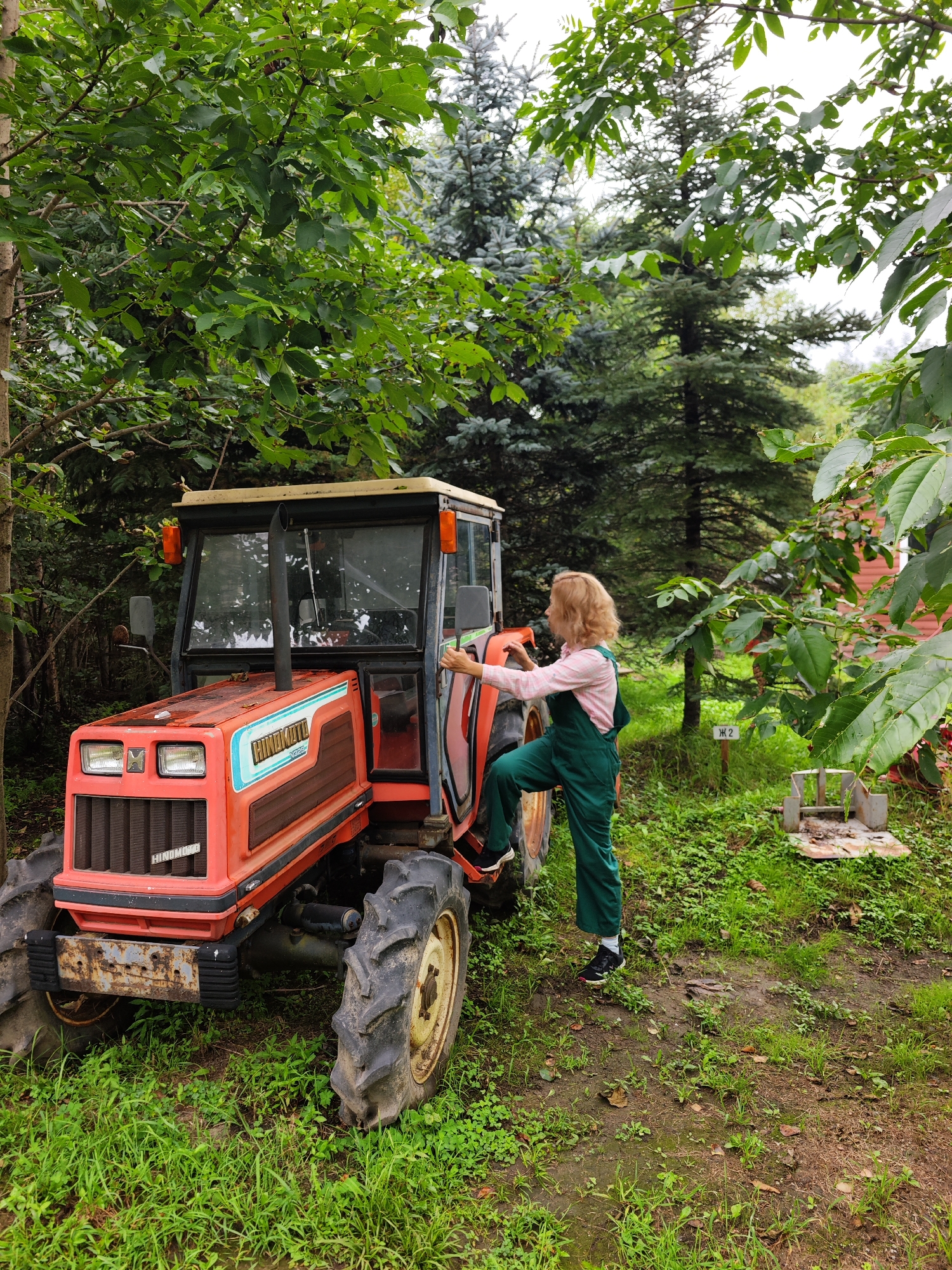 A blonde woman wearing green overalls and a pink and white plaid shirt stands to the right of a red tractor. She is stepping onto the tractor's footrest with her right foot, her left hand resting on the tractor's door frame. The tractor is parked in a grassy area surrounded by trees. The ground is covered in green grass and some mud. In the background, there are tall evergreen trees and a building that appears to be red. There is a small sign with Russian Cyrillic characters to the right of the woman. The sky is overcast. The overall impression is a rural or semi-rural setting.