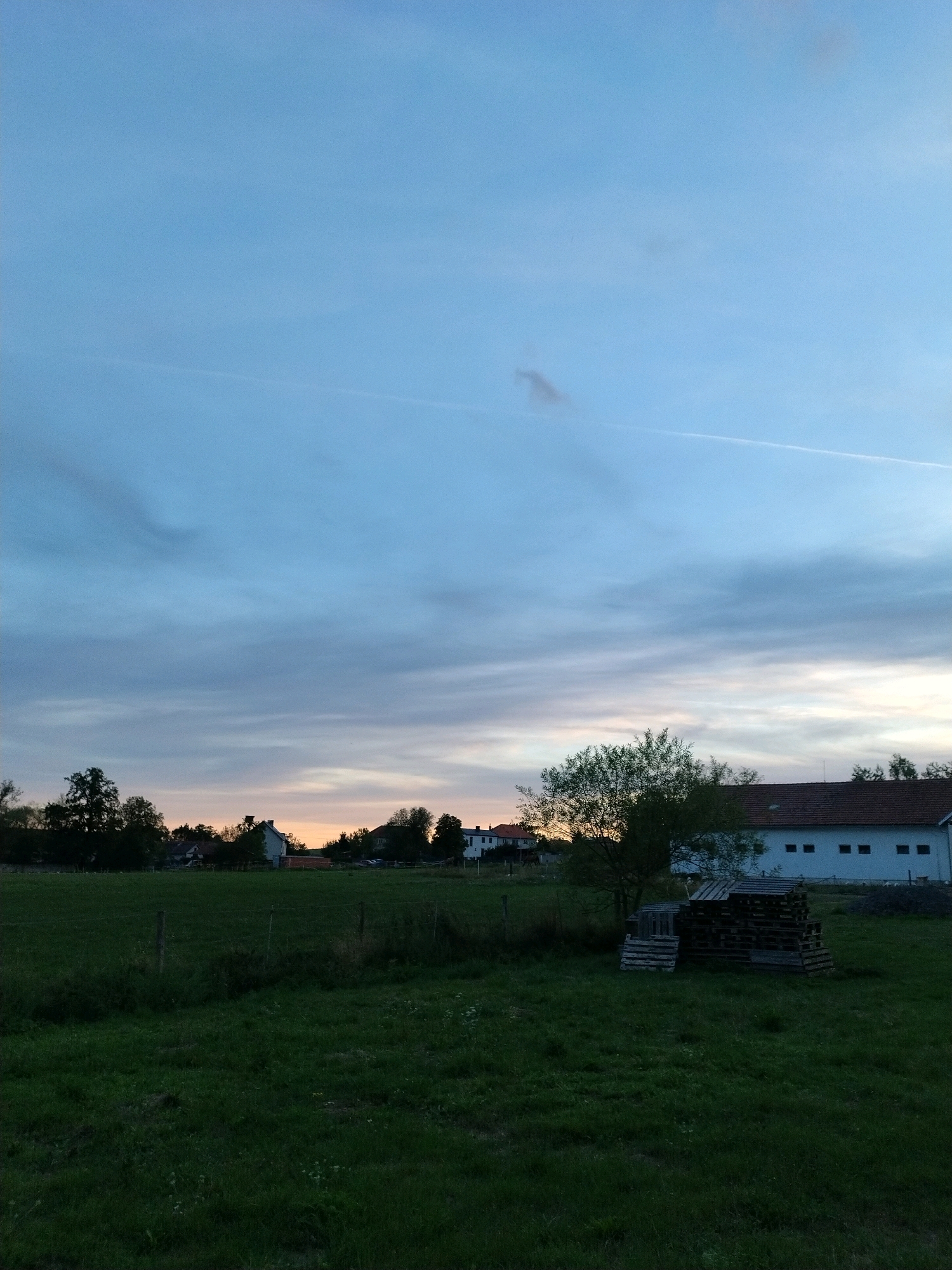 The image depicts an outdoor scene in the city of Dobev, Czechia, likely during twilight or early evening. The sky is a gradient of pale blue and grey with thin, wispy clouds and a faint contrail from an aircraft. In the foreground, a grassy field with some patches of darker vegetation stretches towards a line of trees and buildings in the middle ground. A wooden fence runs across the field. To the right, a stack of wooden pallets is visible on the grass. Beyond the field, several houses and structures are visible, including a long white building with a red roof and multiple windows. Trees are scattered throughout the middle ground and form a dense line behind the houses. The overall impression is a rural or semi-rural landscape under a subdued sky. There are no people visible in the image.