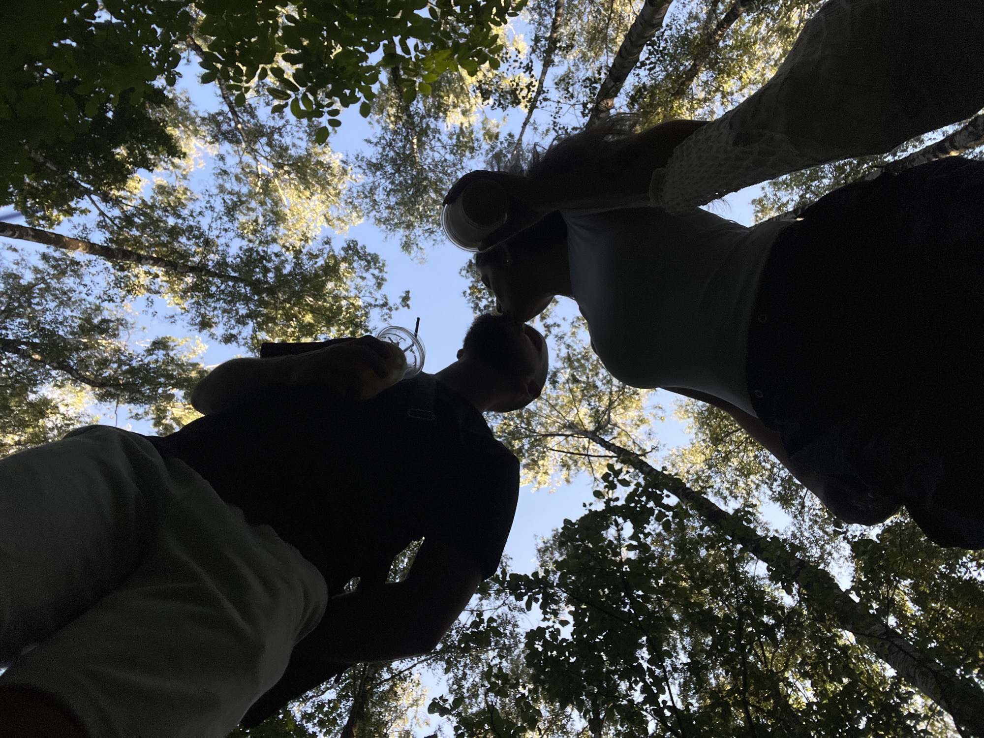 This is a low-angle, wide shot of two people looking up at the sky through a canopy of trees. The sun is shining brightly, creating dappled light and casting shadows through the leaves. The sky is clear and blue, suggesting a pleasant day. The people are silhouetted against the bright sky, making their features difficult to discern.
One person, in the foreground on the left, is wearing a dark t-shirt and light-colored pants. They are holding a clear plastic cup with a straw. The other person, on the right, is wearing a white top and dark pants. They are also holding a clear plastic cup. Their heads are close together, and it appears they are either talking or sharing a moment while enjoying a drink outdoors.
The scene appears to be a park or a wooded area, given the dense foliage and the presence of mature trees with visible trunks and branches. The leaves are green, indicating it is likely spring or summer. The overall mood is relaxed and casual, suggesting a leisurely outing. There is no visible text in the image. The location context is Ternopil, Ukraine.