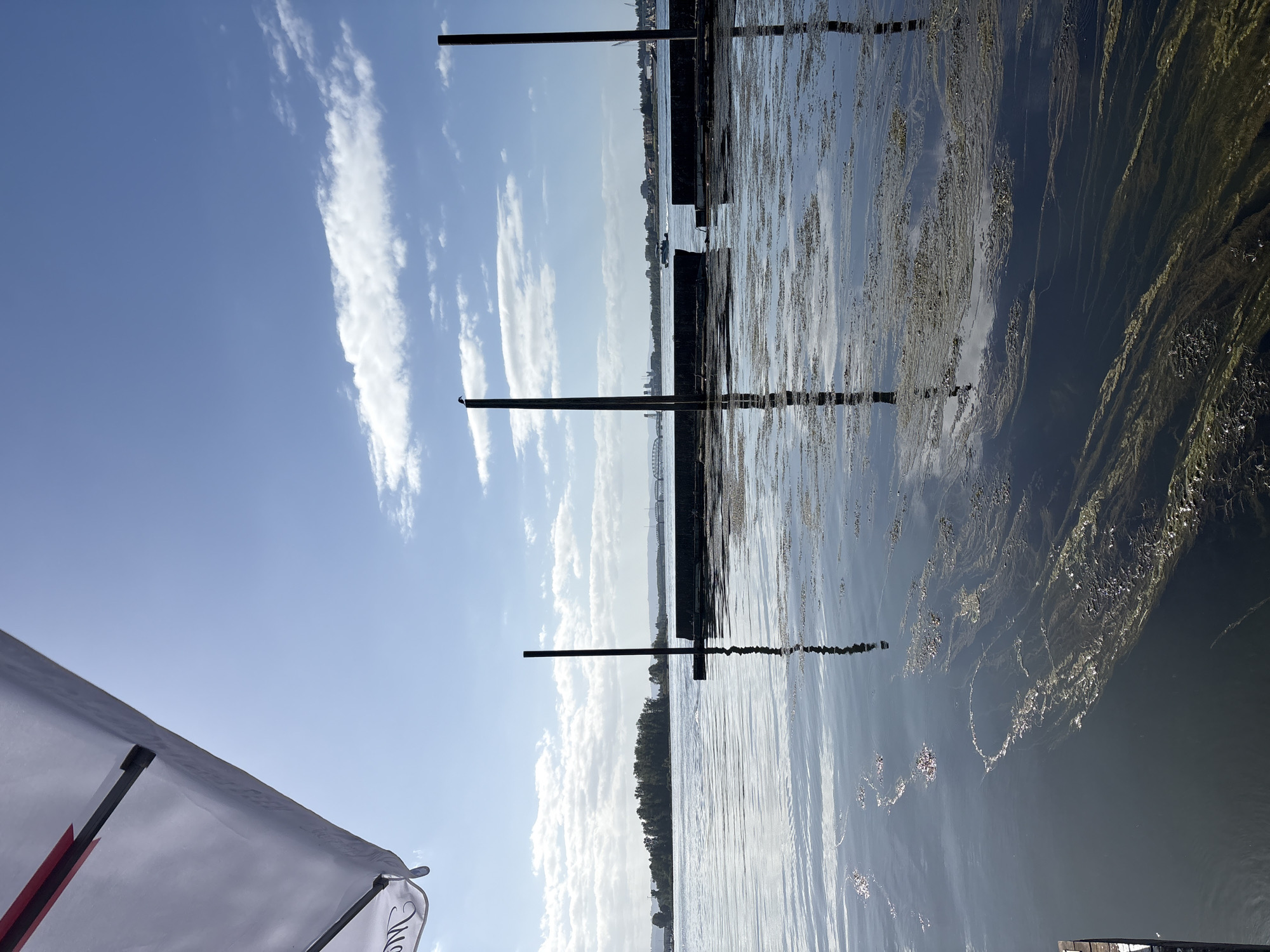 The image depicts a body of water, likely a river or bay, with a dock or pier in the foreground. The water is dark and reflects the sky, with patches of green algae or plant matter floating on the surface. Several vertical posts emerge from the water, some supporting a wooden structure that extends into the distance. In the background, there is a tree-lined island or landmass, with a bridge and buildings visible further in the distance. The sky is blue with scattered white clouds. The scene appears to be a daytime shot. Based on visual cues like the architecture of the bridge and the general landscape, this scene is consistent with the waterfront area of Portland, Oregon, USA.