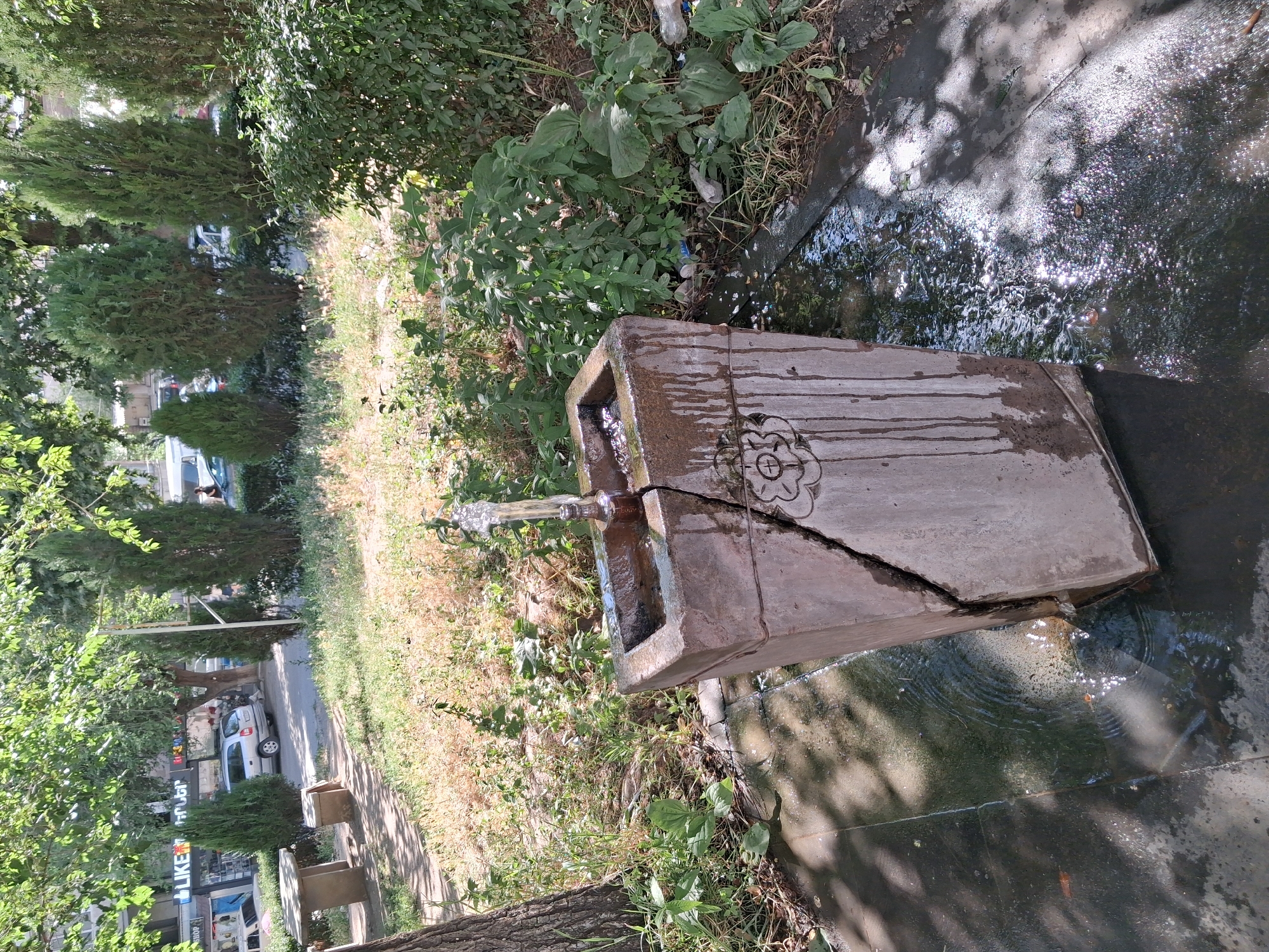 A cracked concrete fountain, stained with watermarks and adorned with a carved floral motif, stands in the foreground of an outdoor scene. Water flows from a metal spout at the top, collecting in the basin and spilling onto the surrounding paved area, creating puddles that reflect sunlight. The fountain is situated amidst overgrown vegetation, including dry grass and leafy plants, with a tree trunk visible to the left. In the background, a paved walkway leads towards a street lined with buildings and parked cars. Cypress trees and other foliage create a natural backdrop, suggesting a park or public space. The overall impression is one of disrepair and neglect, with the damaged fountain being the central focus. This scene is located in Yeghegnadzor, Armenia.