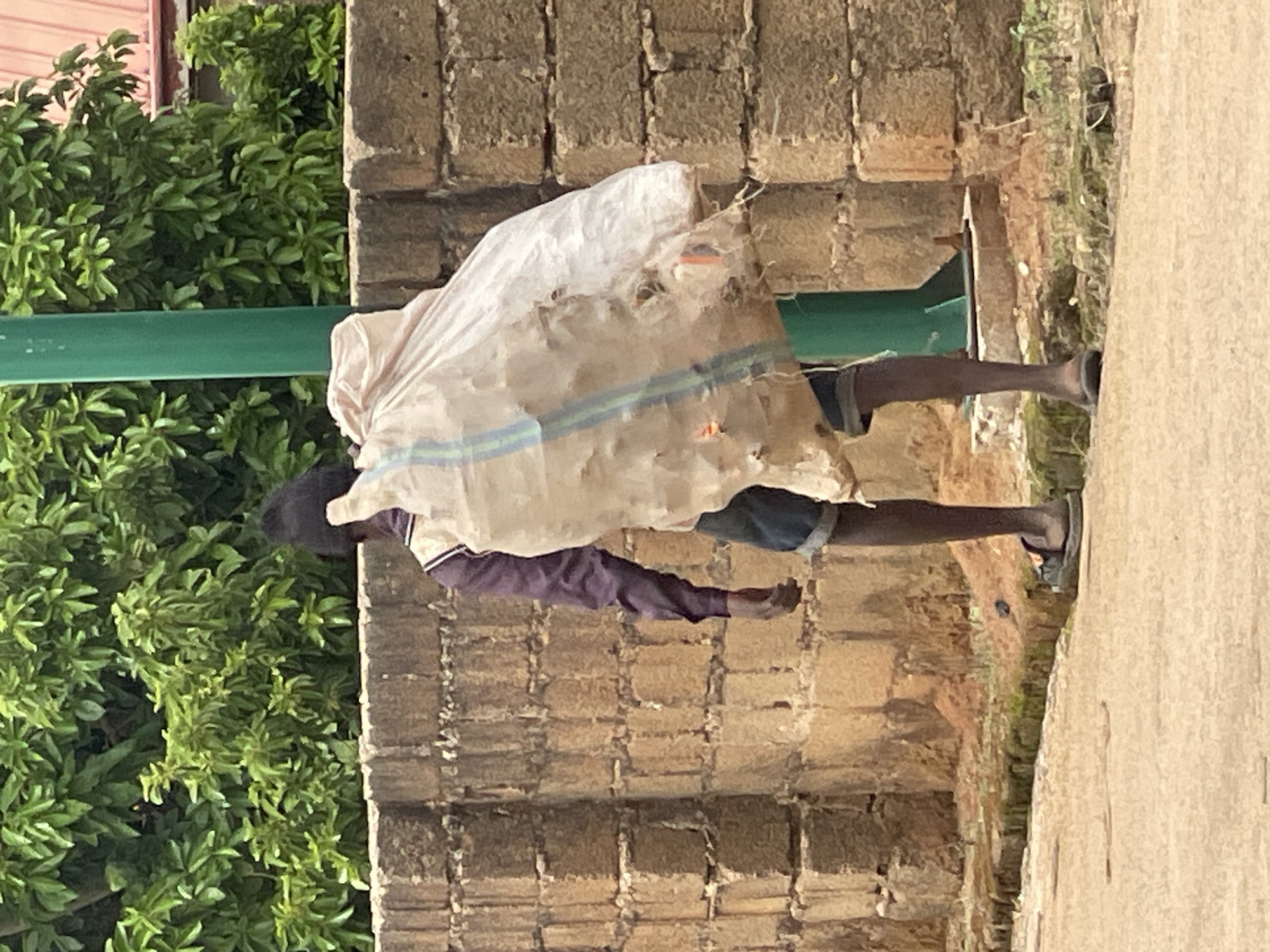 This image, captured in Jos, Nigeria, depicts a single individual walking away from the viewer on a dirt path. The person has dark skin and is attired in a long-sleeved purple shirt with light-colored vertical accents on the shoulders, dark denim shorts or rolled-up trousers, and dark flip-flops. A large, off-white, translucent sack, bulging with contents and featuring vertical blue and green stripes, is carried over the person's left shoulder. In the midground, a low wall constructed of light brown cinder blocks stretches horizontally. A tall, green metallic pole rises vertically on the right side of the frame. The background is dominated by lush green foliage, with a glimpse of a reddish-brown roof visible in the upper right quadrant. The immediate foreground consists of a light brown, unpaved surface, with sporadic patches of green vegetation bordering the wall.