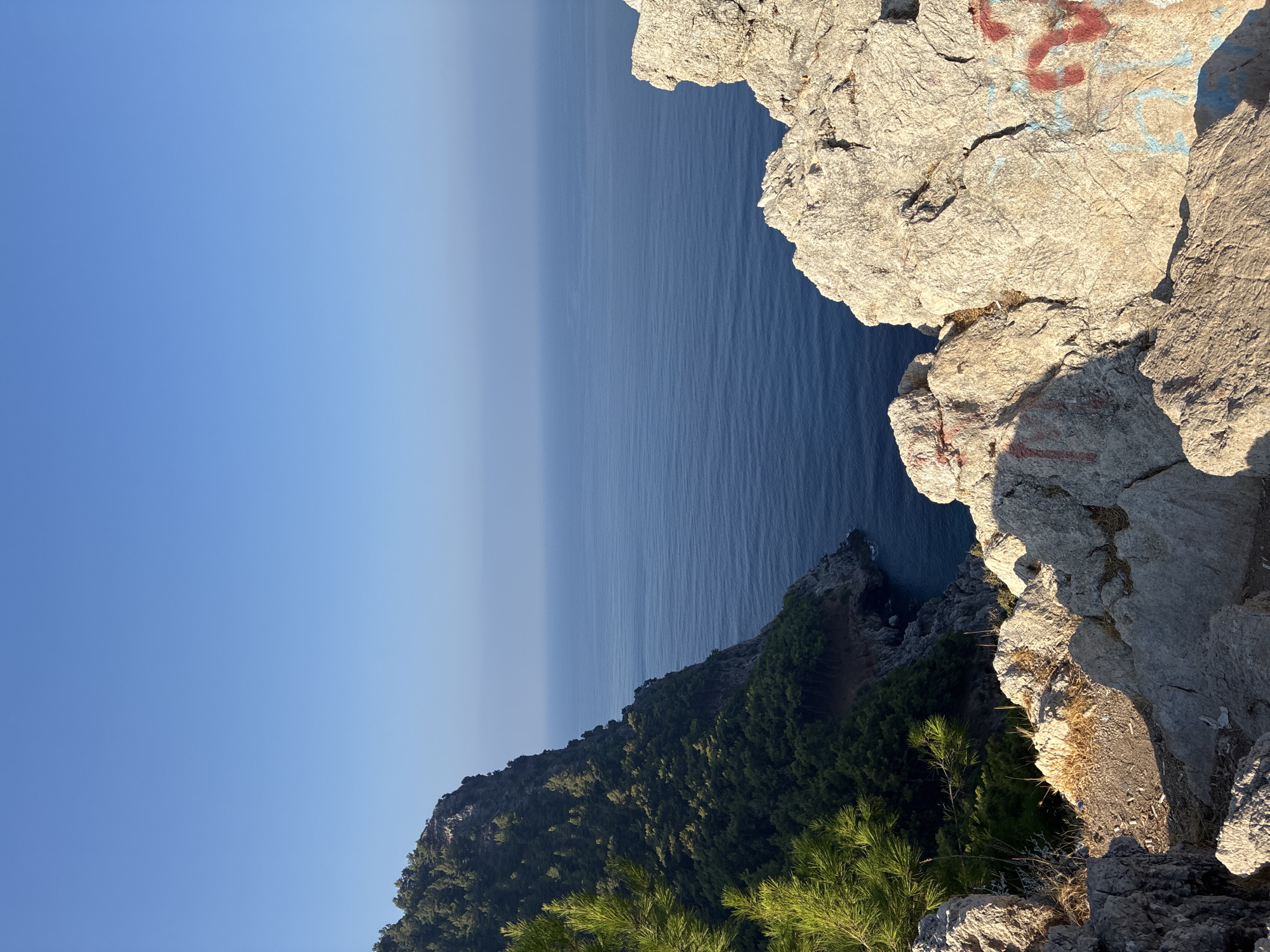 The image captures a scenic view from a rocky cliff overlooking the Mediterranean Sea, likely from the vicinity of Alanya Castle in Alanya, Turkey. In the foreground, large, light-colored rocks dominate the lower portion of the frame. Some of these rocks exhibit graffiti, with red and blue spray paint visible on their surfaces. Vegetation, including dry grass and sparse green shoots, grows between the rocks.
To the left, a steep, forested cliff descends towards the sea. Dense green trees, possibly pine trees, cover the slope. A portion of a pine tree with bright green needles extends into the upper left corner of the image.
The sea stretches out to the horizon, appearing as a vast expanse of deep blue water with subtle ripples on its surface. The sky above is clear and a pale, almost hazy blue, indicating a bright, possibly warm day. The overall impression is one of a natural coastal landscape meeting a mountainous terrain, typical of the region around Alanya.