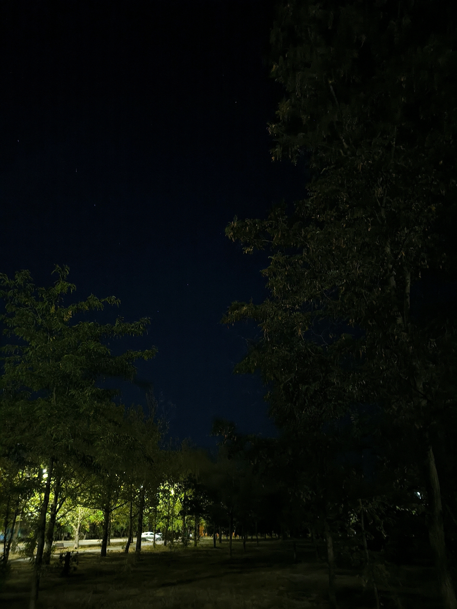 An outdoor nighttime shot captures a park area illuminated by artificial lights. In the foreground, large trees with dark foliage are visible on the right and left sides of the frame. Beyond them, a line of trees stretches across the middle ground, their leaves lit by nearby lighting, creating a dappled effect on the ground. A pathway is visible running through the park, and in the distance, a white vehicle is parked. The sky above is dark, with a few faint stars discernible. The overall scene depicts a serene park at night, with the interplay of light and shadow creating a tranquil atmosphere.