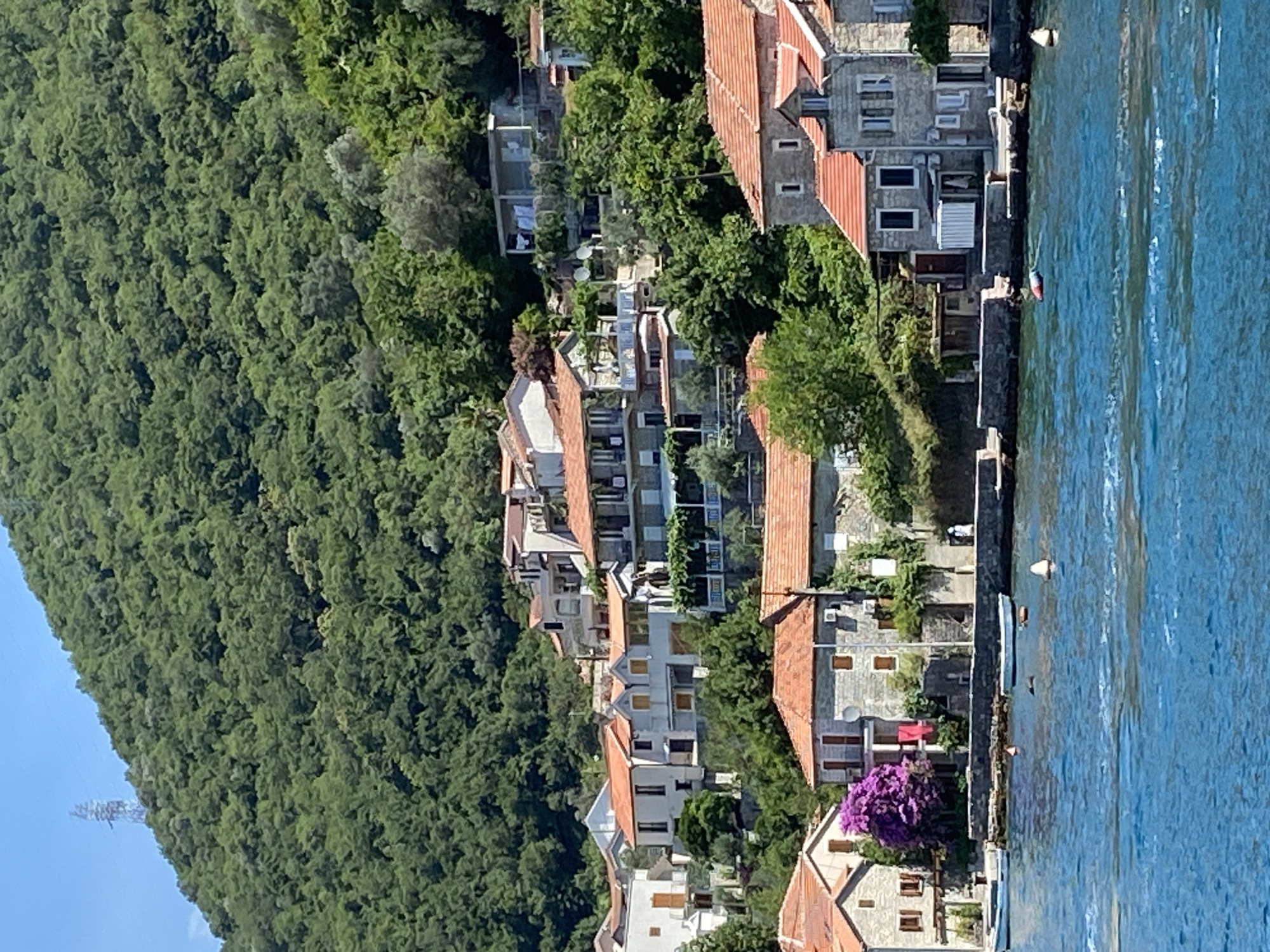 The image shows a view of the village of Lepetane, Montenegro, from the water. The village is situated on the side of a steep, densely wooded hill overlooking the Bay of Kotor. Several houses with red tile roofs are visible, built into the hillside and clustered together. The houses vary in architectural style, with some featuring stone facades and others painted white or light gray. In the foreground, the blue water of the bay is choppy. Two white boats are moored near the shore, and several buoys are floating in the water. The hillside above the village is covered in lush green trees, with a power transmission tower visible on the ridge in the upper left corner of the image. The overall scene conveys a sense of a coastal Mediterranean settlement nestled into a natural landscape.
