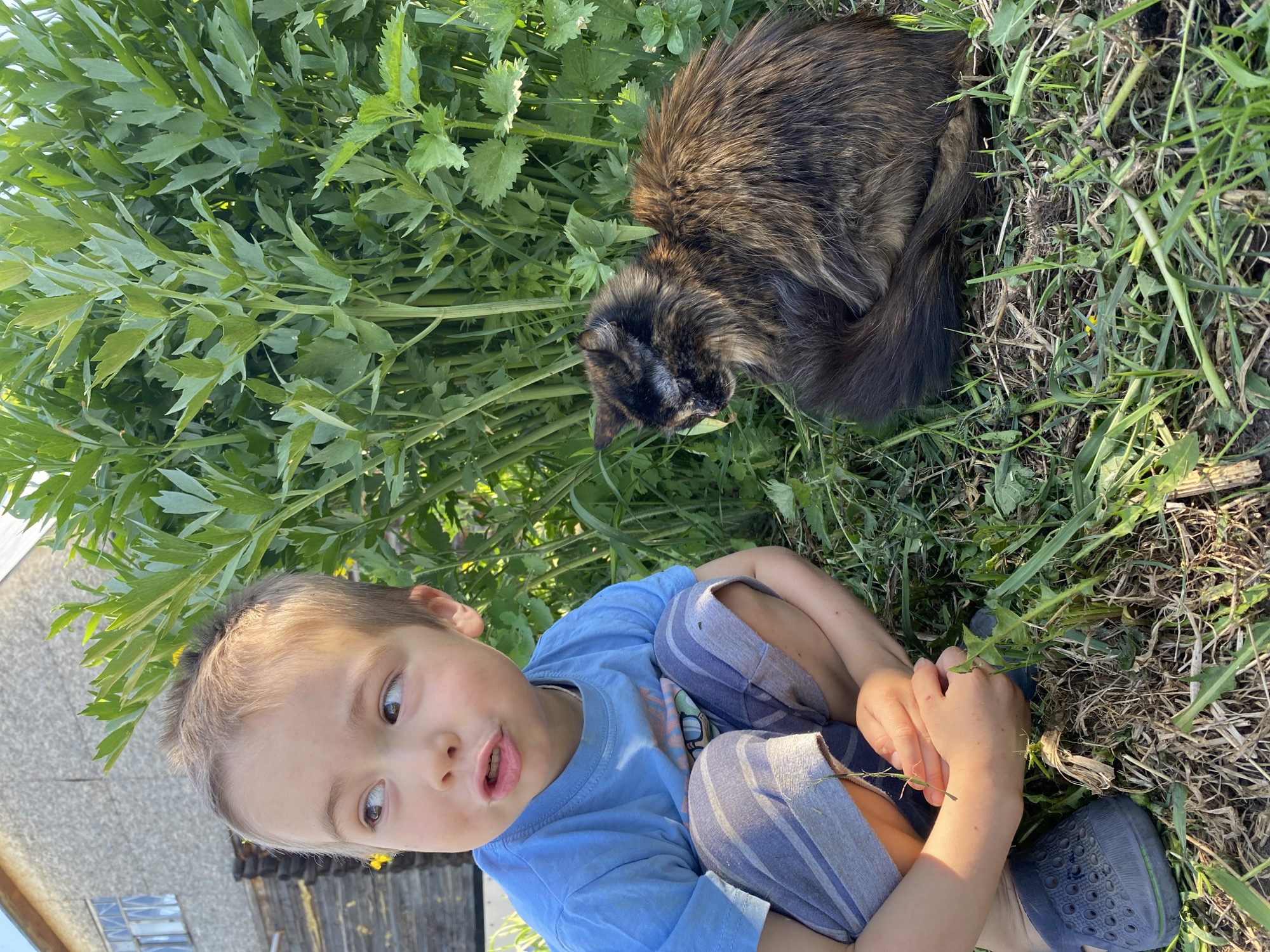 A boy in a blue shirt and striped pants sits in grass with a tortoiseshell cat. They are surrounded by grass and tall green leafy plants. A building is partially visible in the background. The location is Ольховка, Russia.