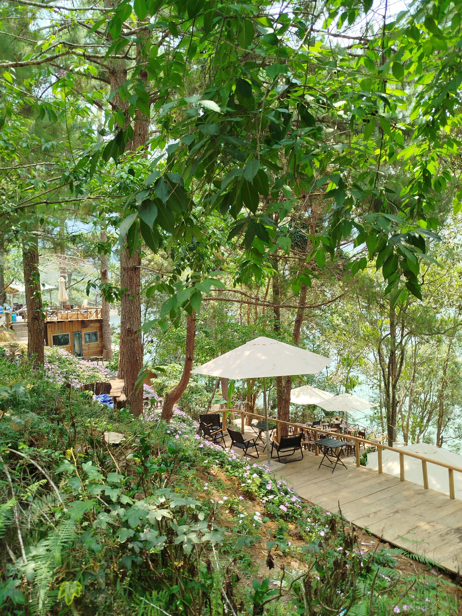 The image depicts a serene outdoor cafe setting in Da Lat, Vietnam, nestled within a forest environment near a body of water.
The scene includes a wooden walkway with a simple railing, leading to multiple seating areas furnished with tables and chairs under large white umbrellas. The cafe is surrounded by lush greenery, including trees, flowers, and various plants.
In the background, a small wooden structure (possibly a cabin or additional cafe building) can be seen. The body of water is partly visible through the trees. There are no people visibly depicted in the image. The light is bright, suggesting a sunny day.