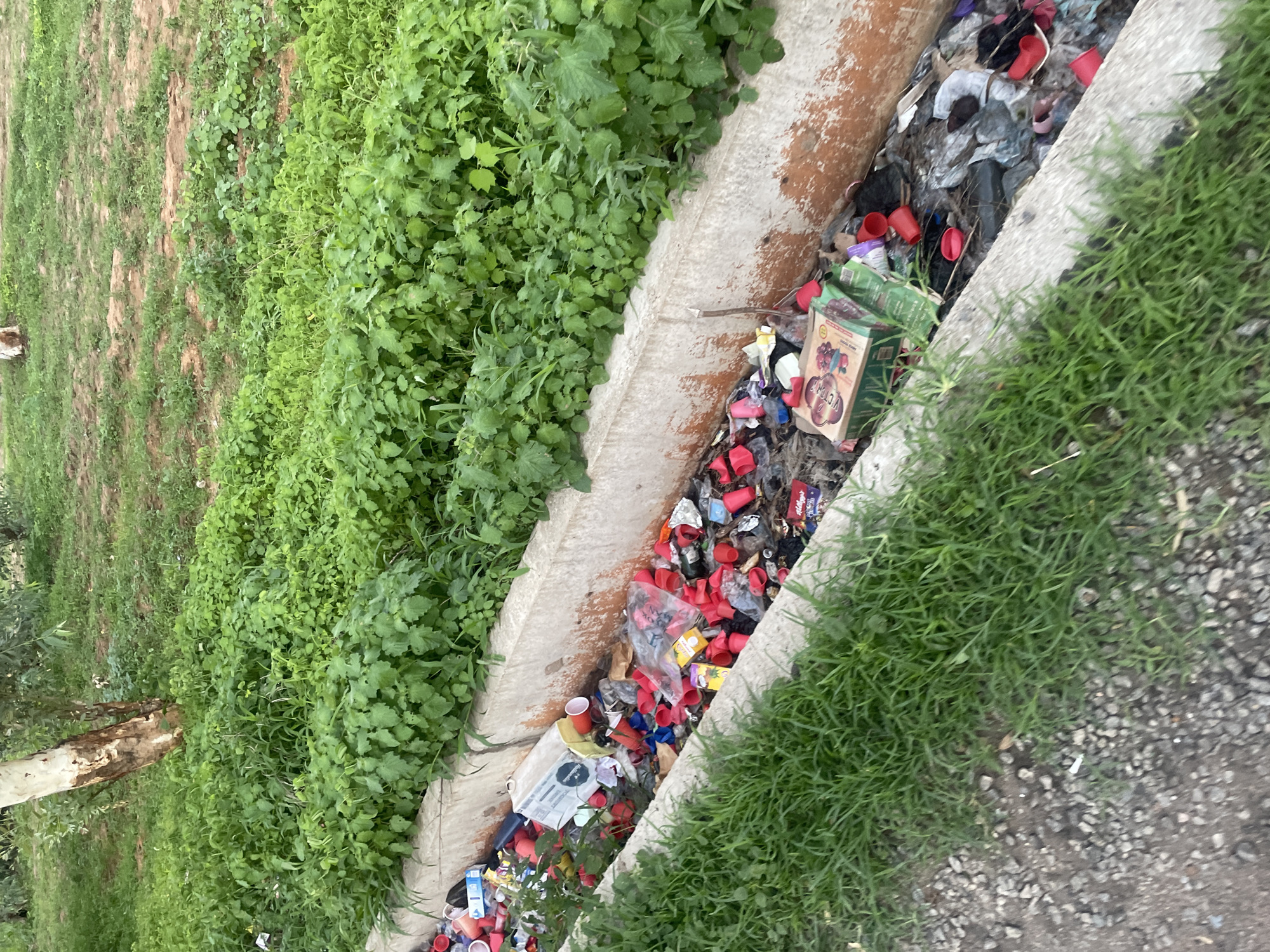 The image depicts a polluted drainage ditch in Jalingo, Nigeria, filled with a variety of refuse. The ditch, lined with concrete, is overflowing with plastic cups, wrappers, bags, and other discarded items. Green vegetation grows along the edges of the ditch and in the background. A portion of a tree trunk is visible on the left side of the image. The ground near the ditch is covered in gravel and grass. The overall scene is one of environmental neglect and litter.