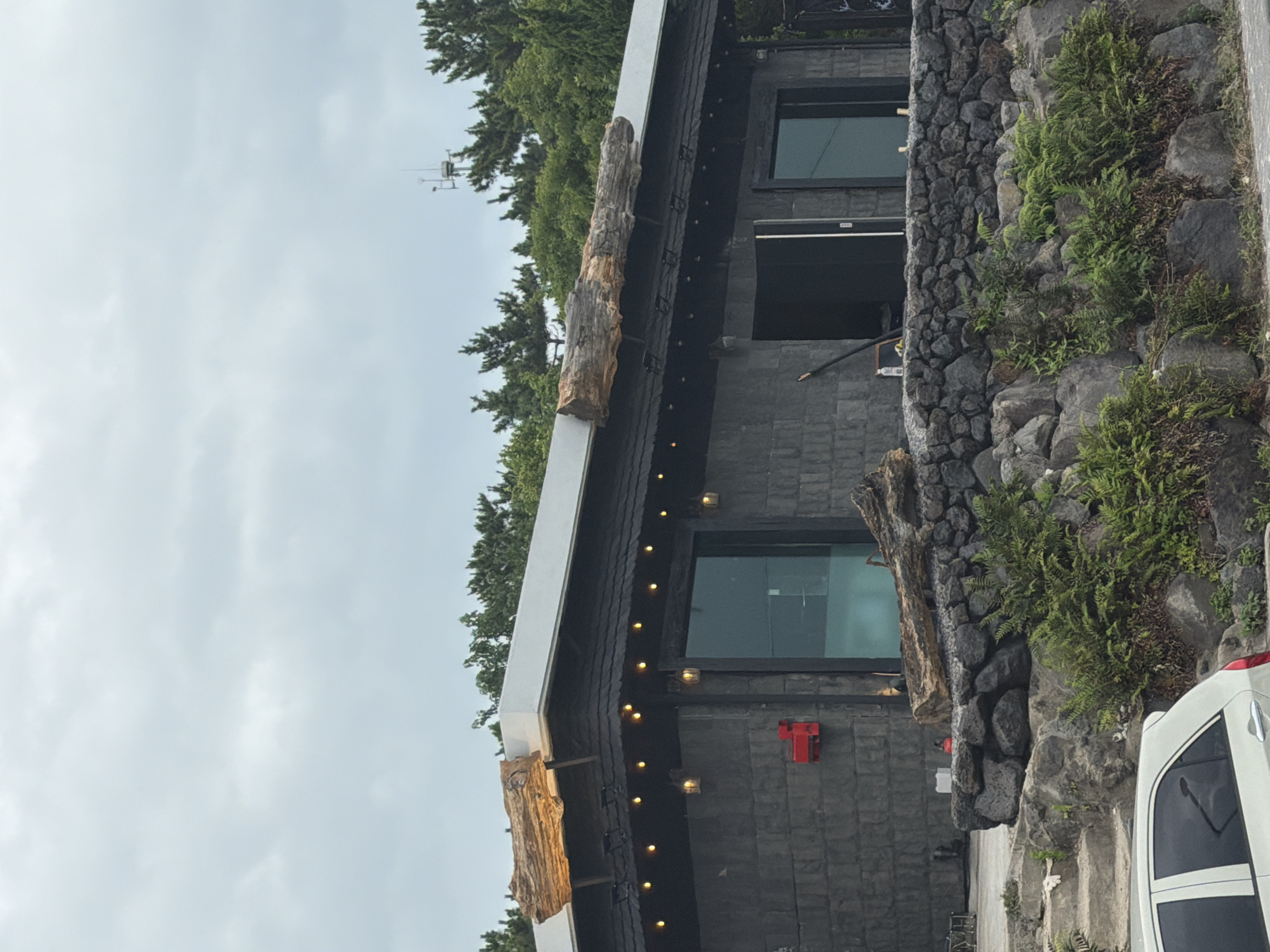 This image shows a dark-colored, modern building with a white roof and wooden accents. The building has large glass windows and is decorated with string lights. In front of the building, there is a wall made of rough stones and lush green ferns. A white car is parked in the foreground. The background features a dense line of trees and a communication tower. The sky is overcast. Based on the architecture, vegetation, and the presence of a communication tower common in coastal areas, this location is likely a cafe or restaurant situated near the coast in Jeju City, South Korea. There are no people visible in the image.
