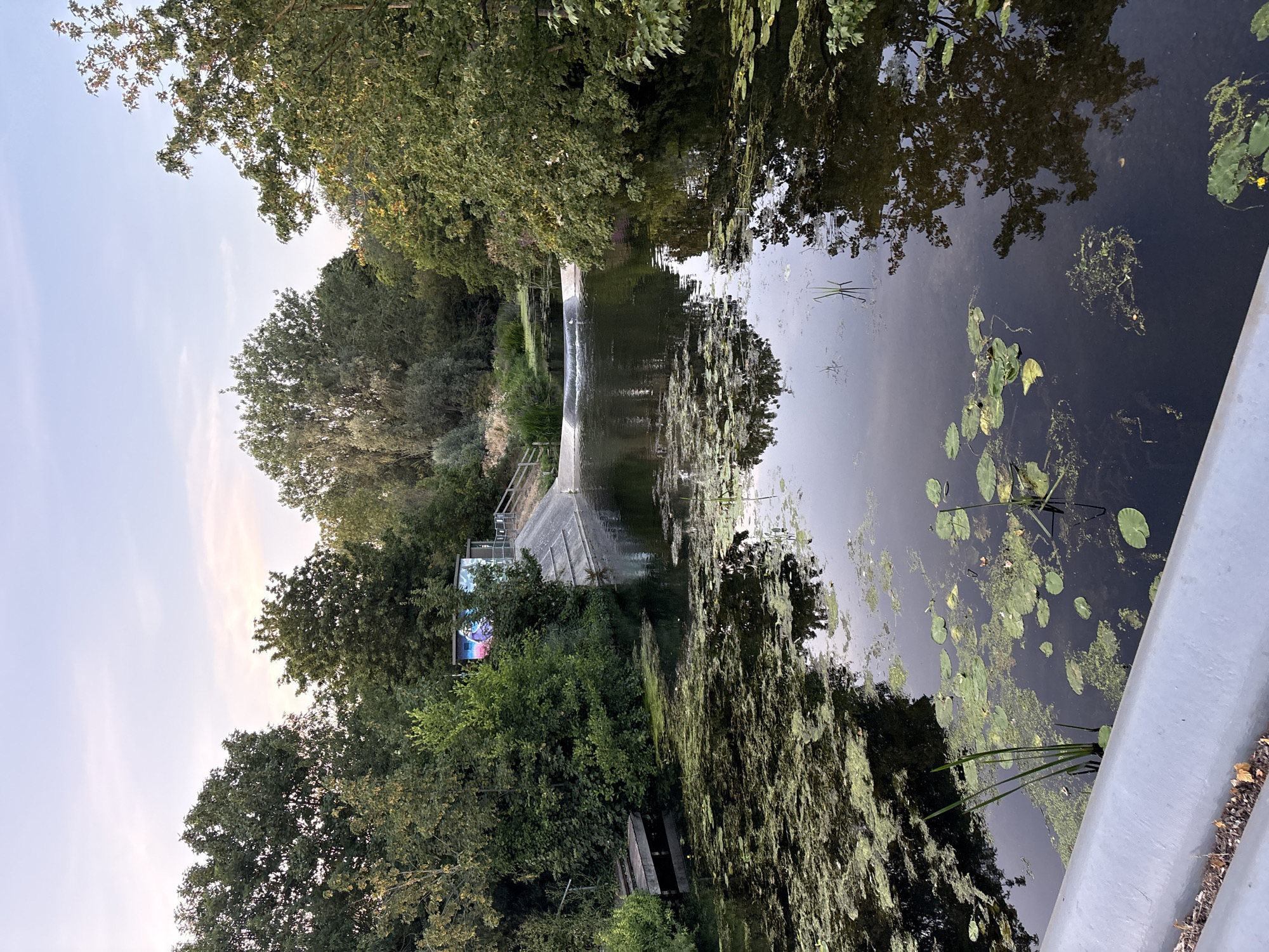 This image captures a tranquil canal scene with lush greenery and still water, likely located in Chelmsford, United Kingdom. The foreground features a grey concrete barrier bordering the canal, with some dried leaves and soil visible. The water surface is partially covered with lily pads and green algae, reflecting the surrounding trees and the pale sky.
In the middle ground, the canal widens, with a small waterfall or weir creating a gentle flow. A small white bird is visible on the weir. On the right bank, a concrete embankment leads up to a small building adorned with colorful graffiti, possibly an amenity block or pump house. Steps are visible on the embankment.
The background is dominated by a dense canopy of various trees, forming a verdant backdrop. The sky above is a soft, pale blue with hints of pink, suggesting it might be early morning or late evening. The overall impression is one of natural beauty within an urban or semi-urban setting.