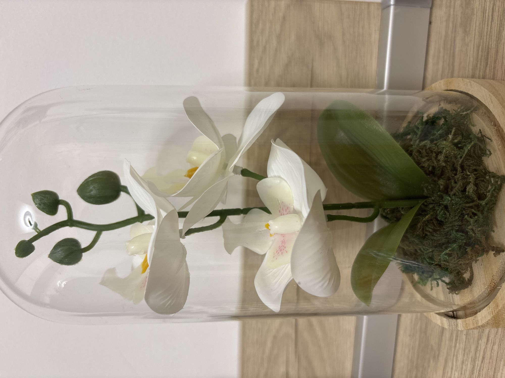 A decorative orchid arrangement is housed in a cylindrical glass dome with a light-colored wooden base. The arrangement includes faux orchid blossoms with white petals and light yellow centers, several unopened flower buds, green leaves, and a base of simulated moss. The display is set against a backdrop of vertical surfaces with varying tones, from white to a light wood grain. A silver vertical element is also visible on the right side of the frame. The location is Unknown, Unknown.