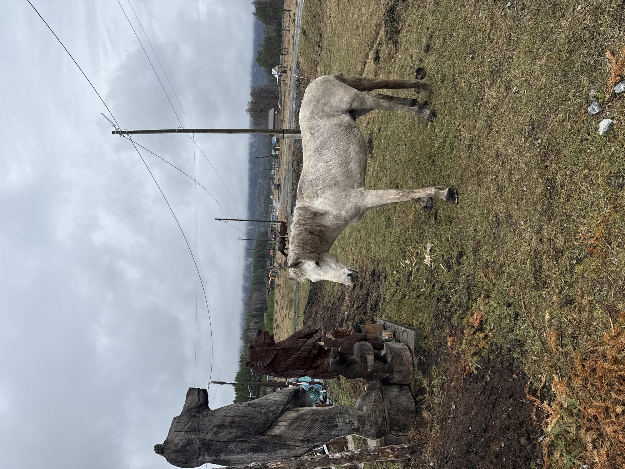 A medium, level, outdoor shot depicts a grey horse standing in a field of patchy green and brown grass, set against a background of utility poles and a distant treeline, on an overcast day. In the foreground, there are two large wooden carvings: one appears to be the head and shoulders of a human-like figure and another carving of a bear with cubs on a wooden base. The horse is positioned on the right side of the frame, looking towards the carvings, and is angled towards the camera, revealing its full profile. In the background are several houses and a faint line of smoke coming from the village. The sky is grey, contributing to a subdued atmosphere. The image is identified as being taken in the city of Tyulyuk, Russia.