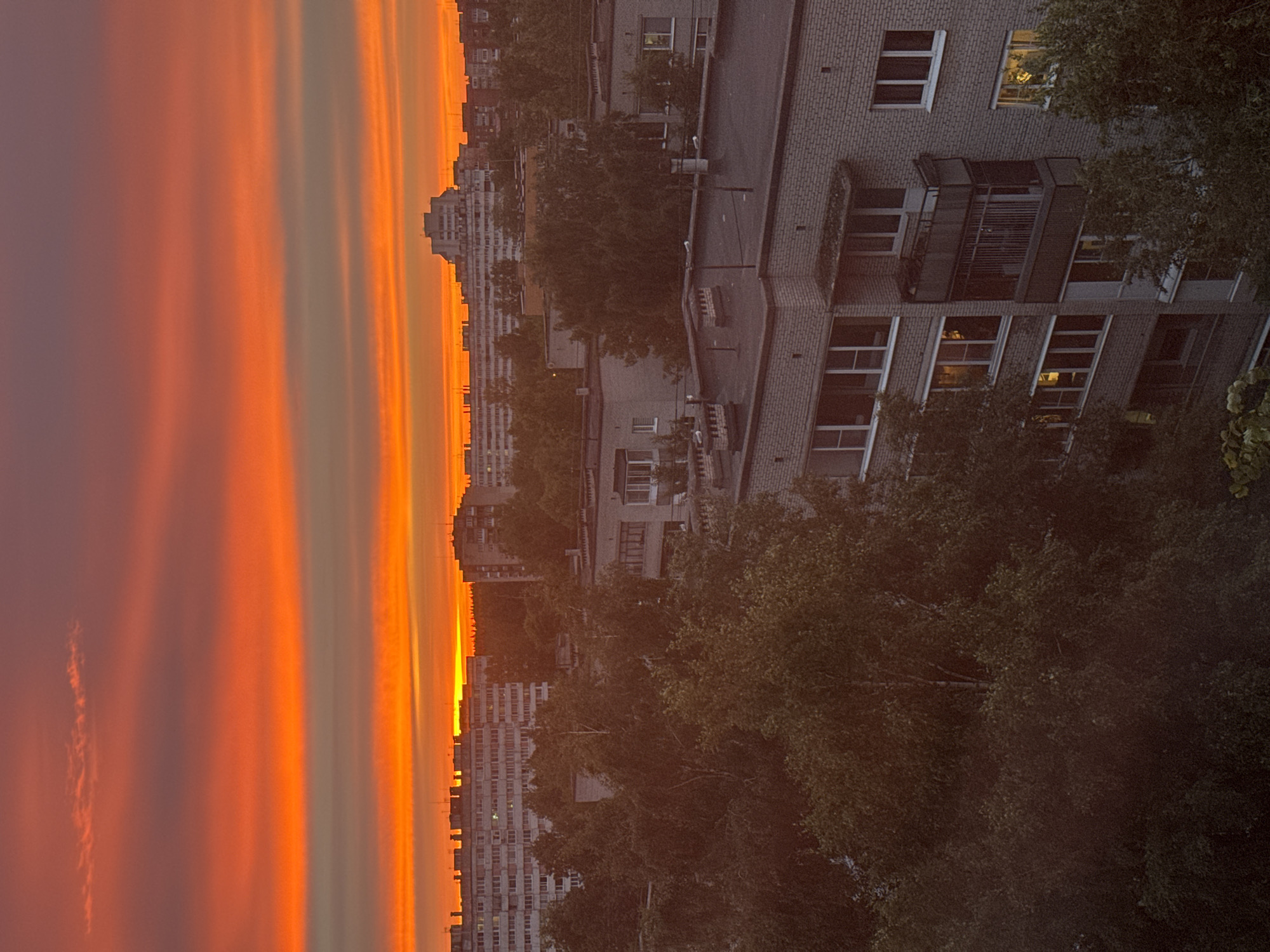 An aerial, low-angle, eye-level shot captures a vibrant sunset over a dense urban landscape in Sosnoviy Bor, Russia. The sky is a dramatic canvas of fiery orange and red hues, with horizontal streaks of color creating a textured, layered effect. In the midground, a line of apartment buildings stretches across the horizon, their muted gray facades contrasting with the vivid sky. Some windows glow with warm interior light, suggesting that the city is settling in for the evening. In the foreground, a cluster of mature trees with dark green foliage partially obscures the lower levels of more apartment buildings. The architecture appears to be typical of Soviet-era residential blocks, characterized by their utilitarian design and brick construction. The overall impression is one of urban life bathed in the dramatic, fleeting beauty of a sunset.