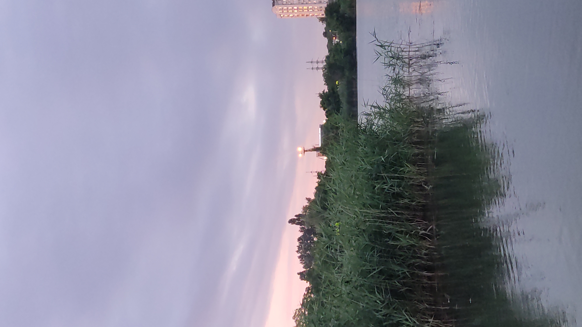 The image depicts a serene waterscape with tall green reeds in the foreground, bordering a calm body of water that reflects the dusky sky and surrounding environment. In the background, a dense line of trees separates the water from a city skyline. Prominent structures include a tall, multi-story apartment building illuminated by interior lights, and a tower with two bright lights at its apex. Power lines and pylons are also visible, indicating urban infrastructure. The sky is a muted lavender and pink, suggesting either dawn or dusk. The overall scene conveys a peaceful, twilight atmosphere in an urban setting near a natural water feature. This description is consistent with views of areas along the Kuban River in Krasnodar, Russia, particularly those with green spaces and residential development.
