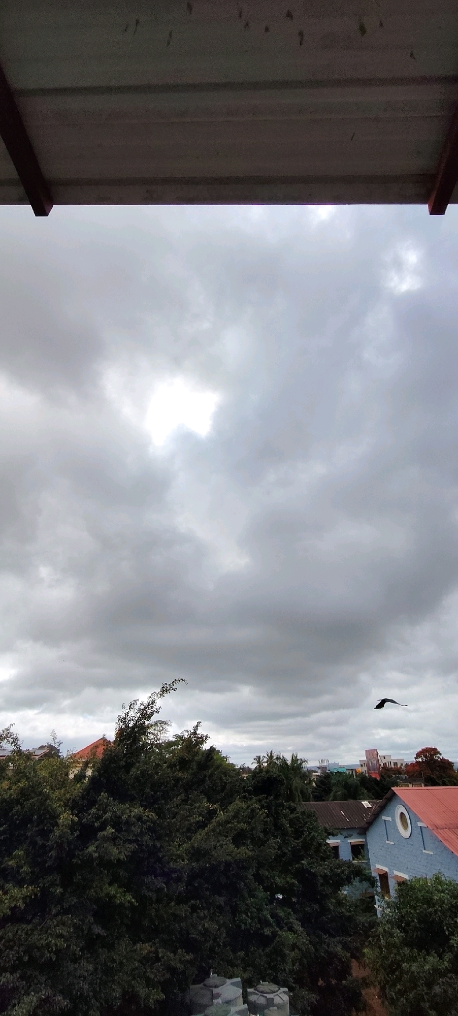 The image captures a cloudy sky over a residential area in Belagavi, India. In the foreground, a dark green canopy of trees dominates the lower half of the frame. Partially visible behind the trees are several buildings, including a blue building with a red-tiled roof and a circular window, and another building with a red roof. A lone bird is captured in flight against the overcast sky. The upper portion of the image shows a roof structure, likely part of a balcony or overhang, with visible bolts. The overall impression is one of a typical urban scene under a cloudy sky.