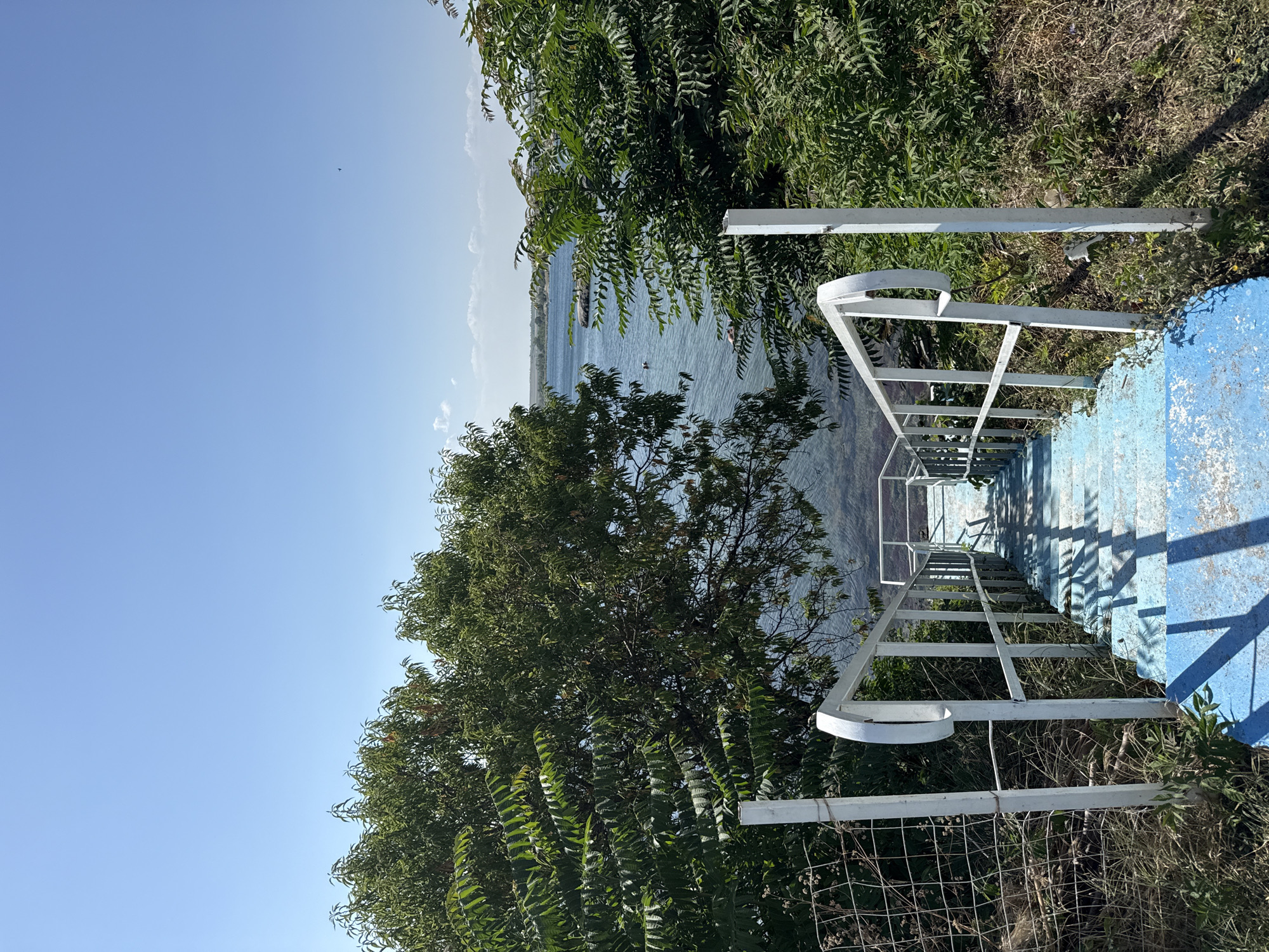A set of blue and white stairs leads down towards a body of water, presumably the Black Sea. Lush green trees flank the stairs on both sides, with the water visible in the background. The sky is clear and blue. Several people are visible swimming or relaxing in the water. The overall scene suggests a tranquil summer day at a seaside location in Pomorie, Bulgaria.