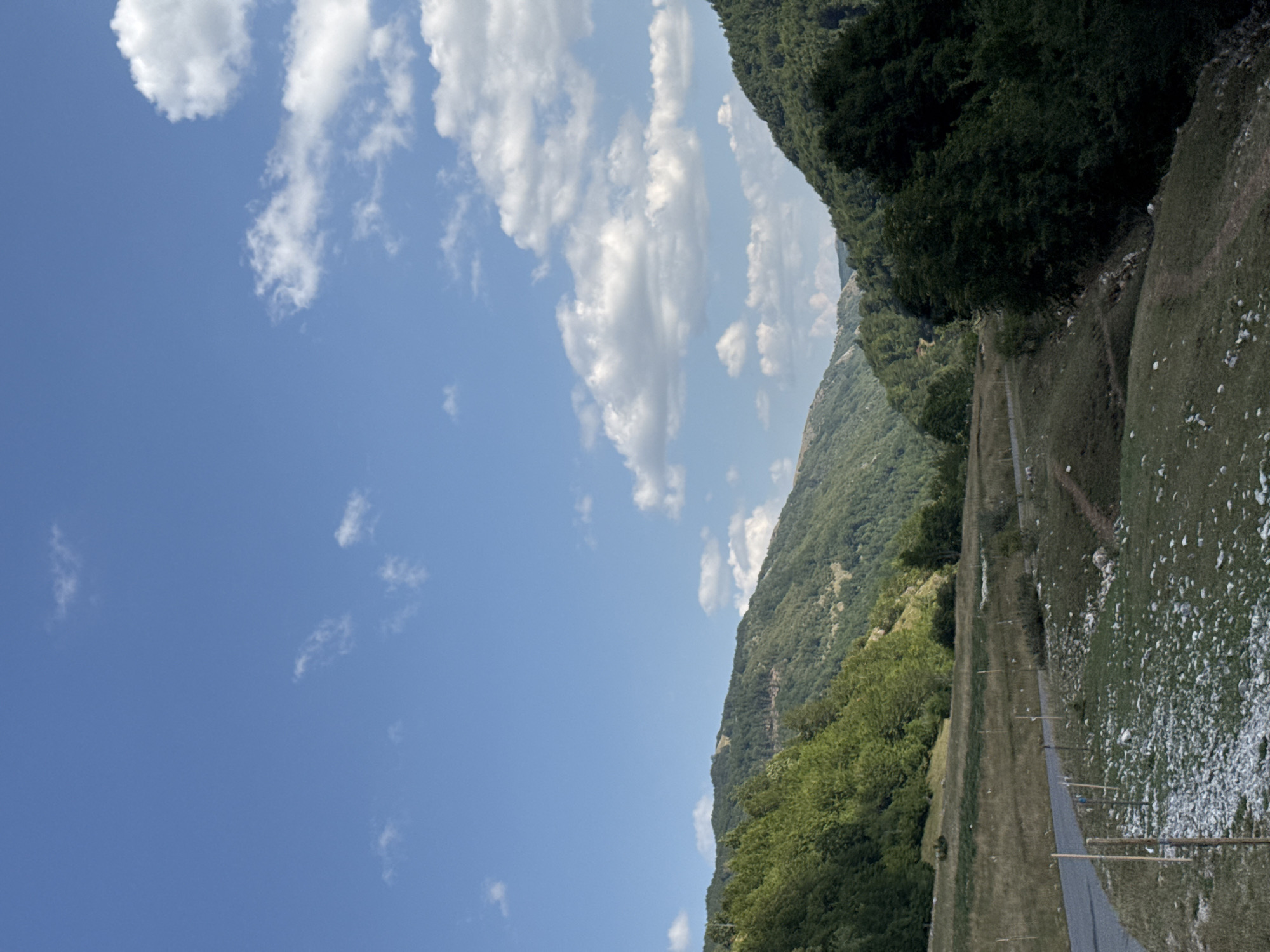 The image depicts a serene mountainous landscape under a partly cloudy blue sky. In the foreground, a paved road curves to the left, bordered by a wire fence and wooden posts. The ground adjacent to the road is covered with dry grass and scattered white stones. Further into the scene, a grassy field transitions into a densely wooded mountainside. The mountains are covered in a variety of green trees, with some patches of lighter green indicating different types of vegetation or varying light conditions. The undulating terrain suggests a valley with mountains rising on either side. The overall impression is one of a natural, undeveloped area. The location is identified as Donja Bukovica, Montenegro.