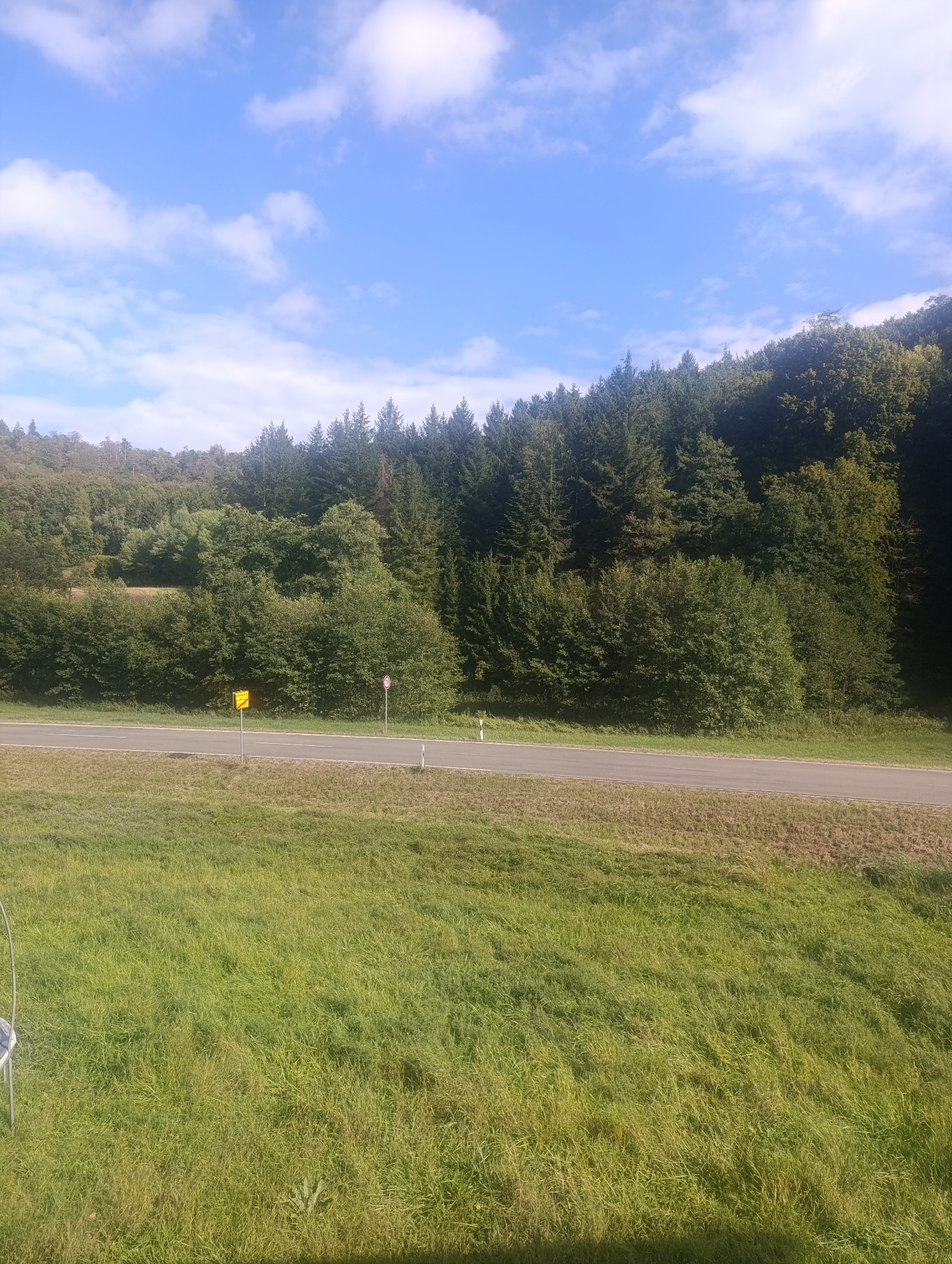 The image depicts a scenic view of a road bordered by lush green grass and a dense forest on a sunny day. The road is a paved asphalt surface with white lane markings. On the side of the road, there are several signs, including a yellow rectangular warning sign and a circular red and white speed limit sign. A white post is also visible on the right side of the road. Beyond the road, a thick line of trees forms a verdant backdrop, with a clear blue sky dotted with white clouds overhead. The foreground is dominated by a field of tall green grass. The location is identified as being in the city of Berching, Germany.