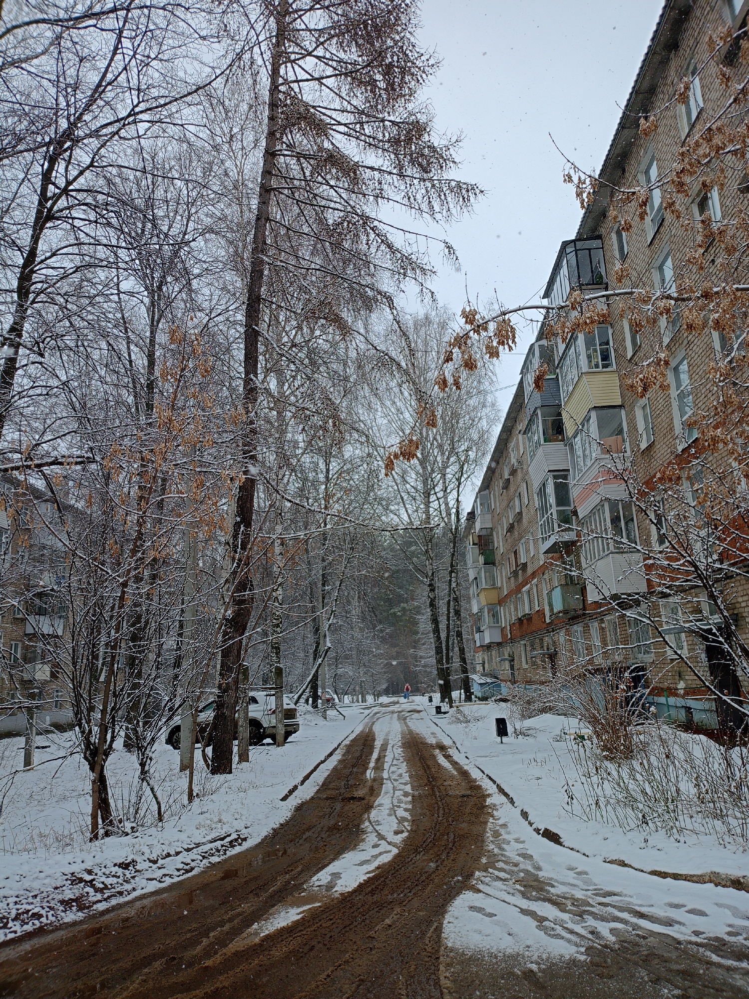 The image depicts a winter scene in what appears to be a residential area in Chaikovsky, Russia. A muddy road, marked by vehicle tracks, leads through a landscape partially covered in snow. Trees line both sides of the road, some bare and others with dried leaves still attached, dusted with snow. To the right, a multi-story brick apartment building stands with balconies and windows visible. Several cars are parked alongside the road, partially obscured by trees and snow. The sky is overcast. The overall impression is that of a cold, late-autumn or early-winter day in an urban area.